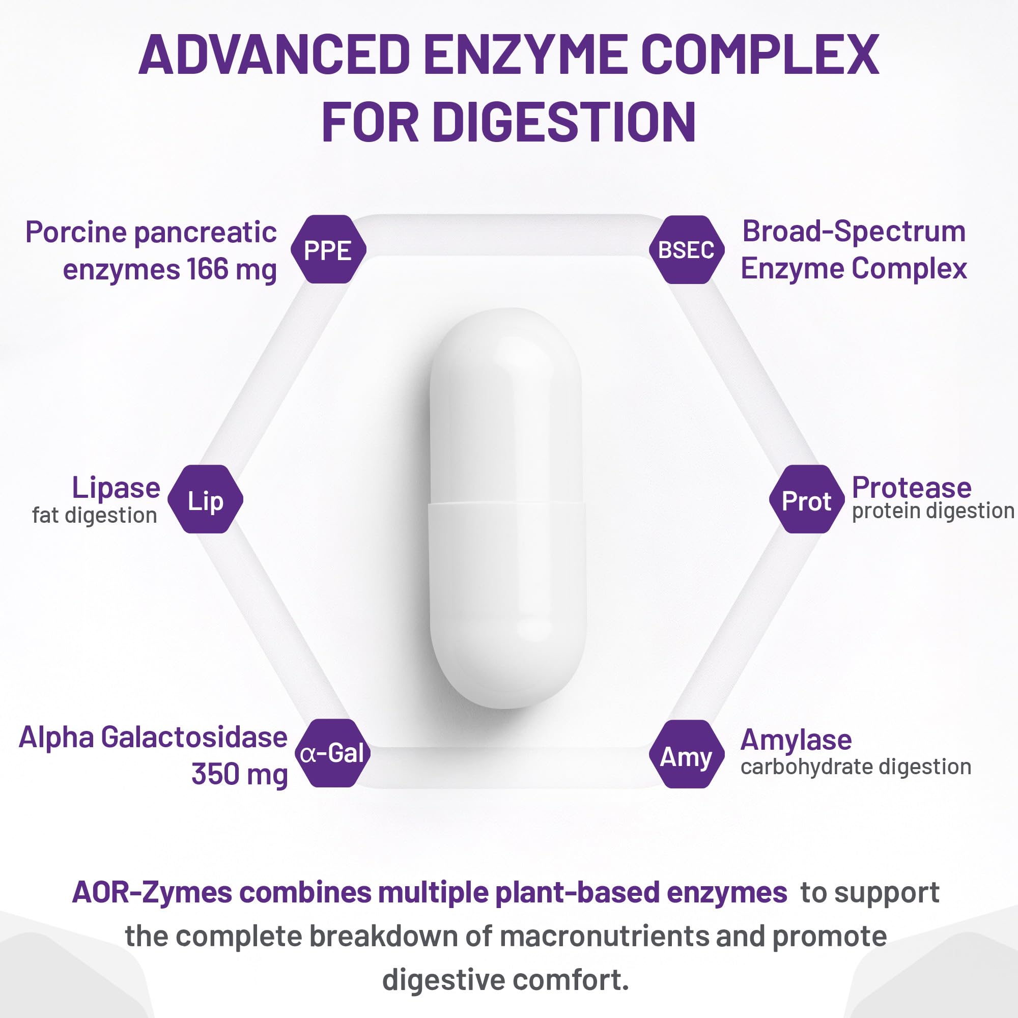 AOR Zymes Enzymes pancréatiques 516mg, 100 gélules pour 100 jours – Aide à prévenir l'intolérance gastro-intestinale, soutien digestif avec lipase, amylase et protéase – Sans OGM et sans gluten
