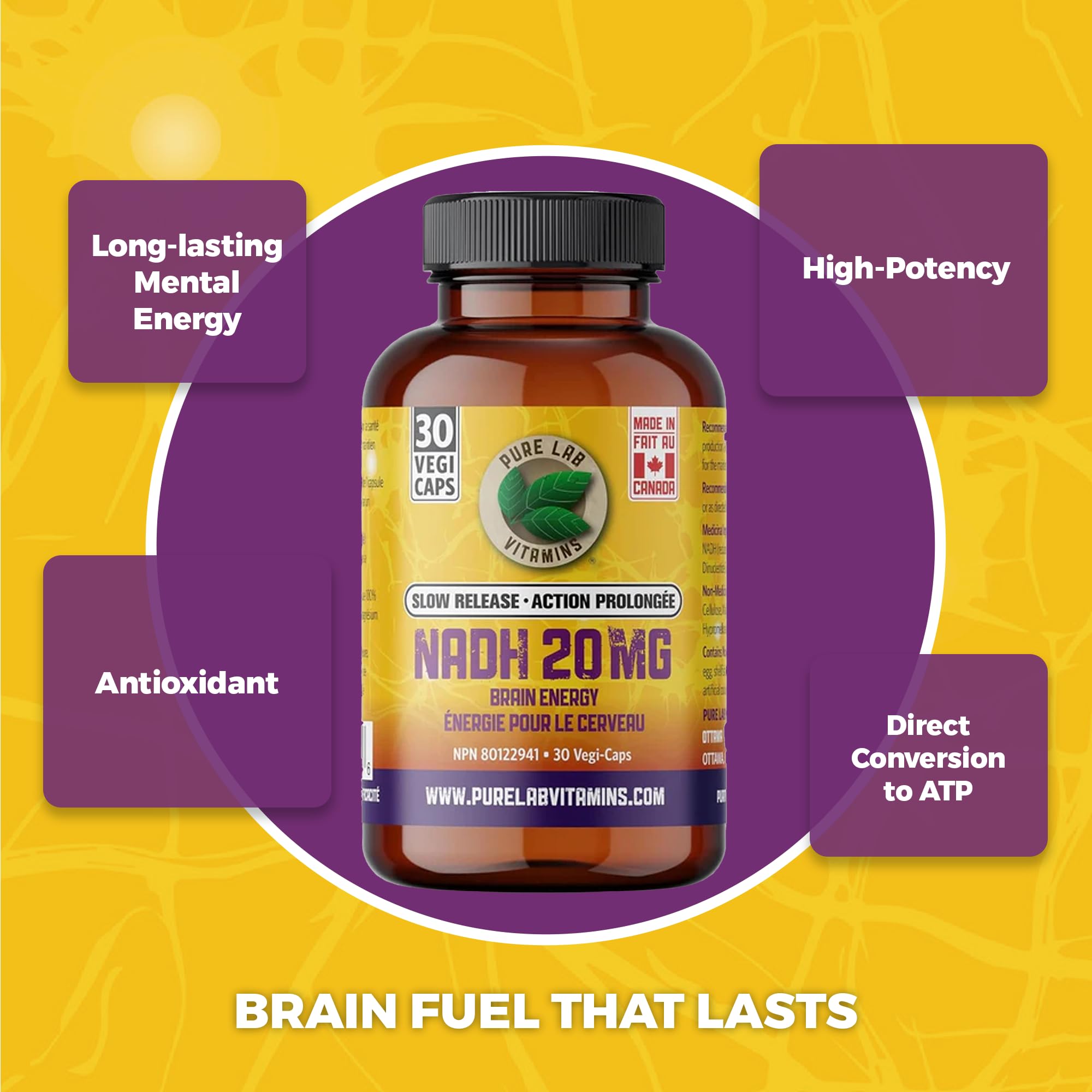 Pure Lab Vitamins - Nicotinamide Adénine Dinucléotide (NAD) + Hydrogène (H) Supplément - 20 MG
