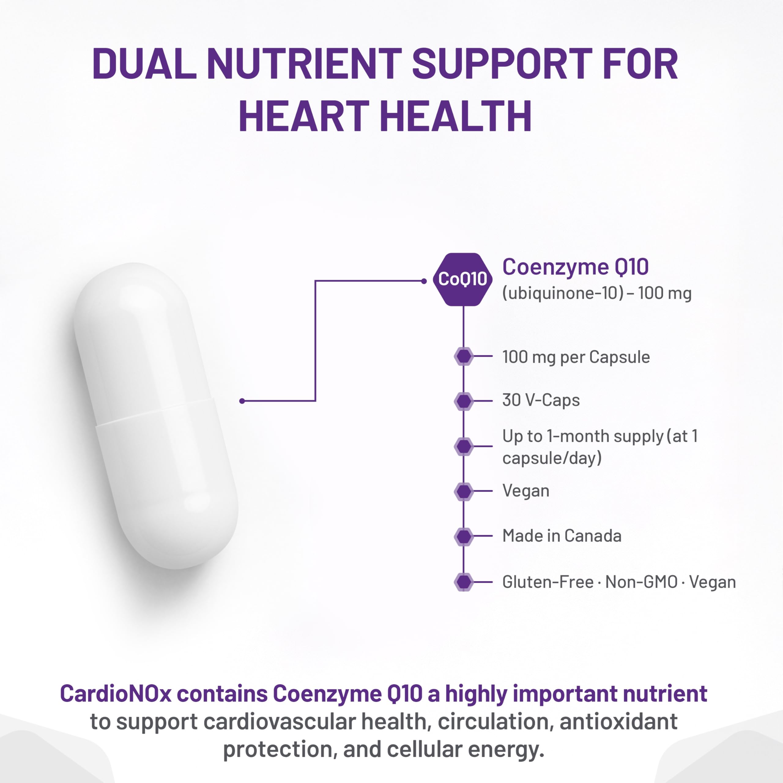 AOR CardioNOx Coenzyme Q10 100 mg, 30 capsules, 30 jours d'approvisionnement - Supplément de CoQ10, soutien de la vitalité cardiaque et de la circulation, soutien énergétique avec oxyde nitrique, formule ubiquinone, végétalien, sans OGM et sans gluten