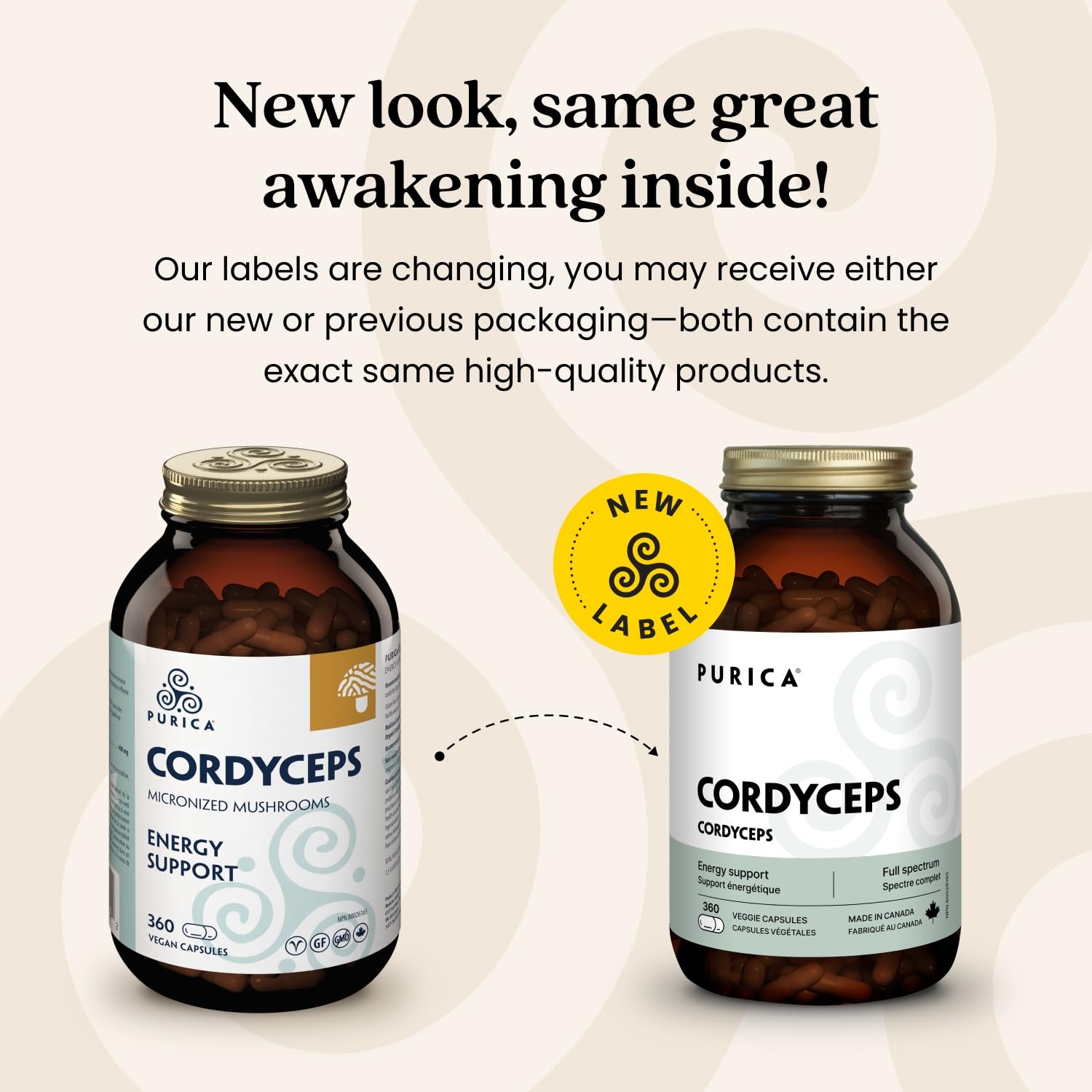PURICA Cordyceps Champignons micronisés