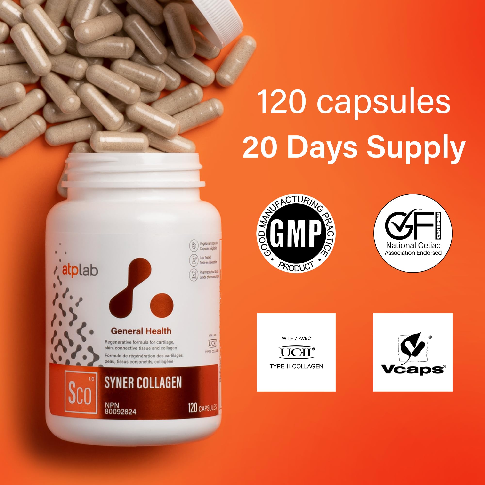 ATP LAB - Syner Collagen 120 Capsules - Collagen Supplements Capsules - Joint Health - Knee Joint Pain Relief and Cartilage Repair Supplement