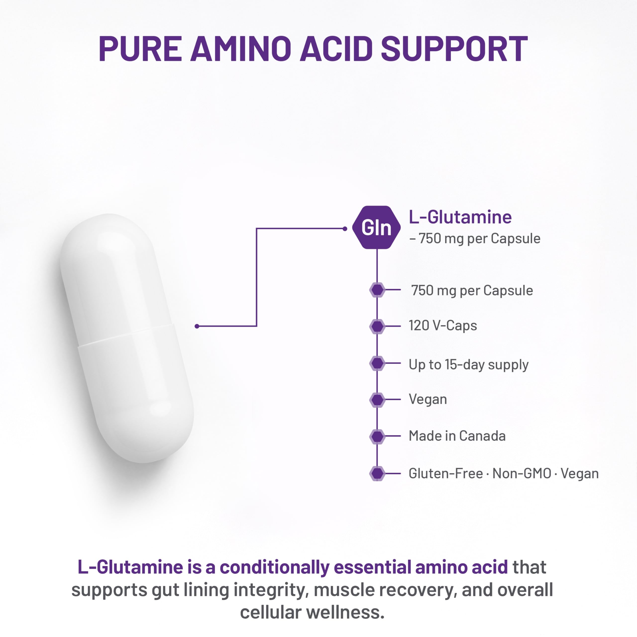 AOR L-Glutamine 750mg, 120 Capsules - L-Glutamine Supplement for Gut Wellness and Recovery, Supports Digestive Comfort - Vegan, Gluten-Free and Non-GMO - Ideal for Active Lifestyles