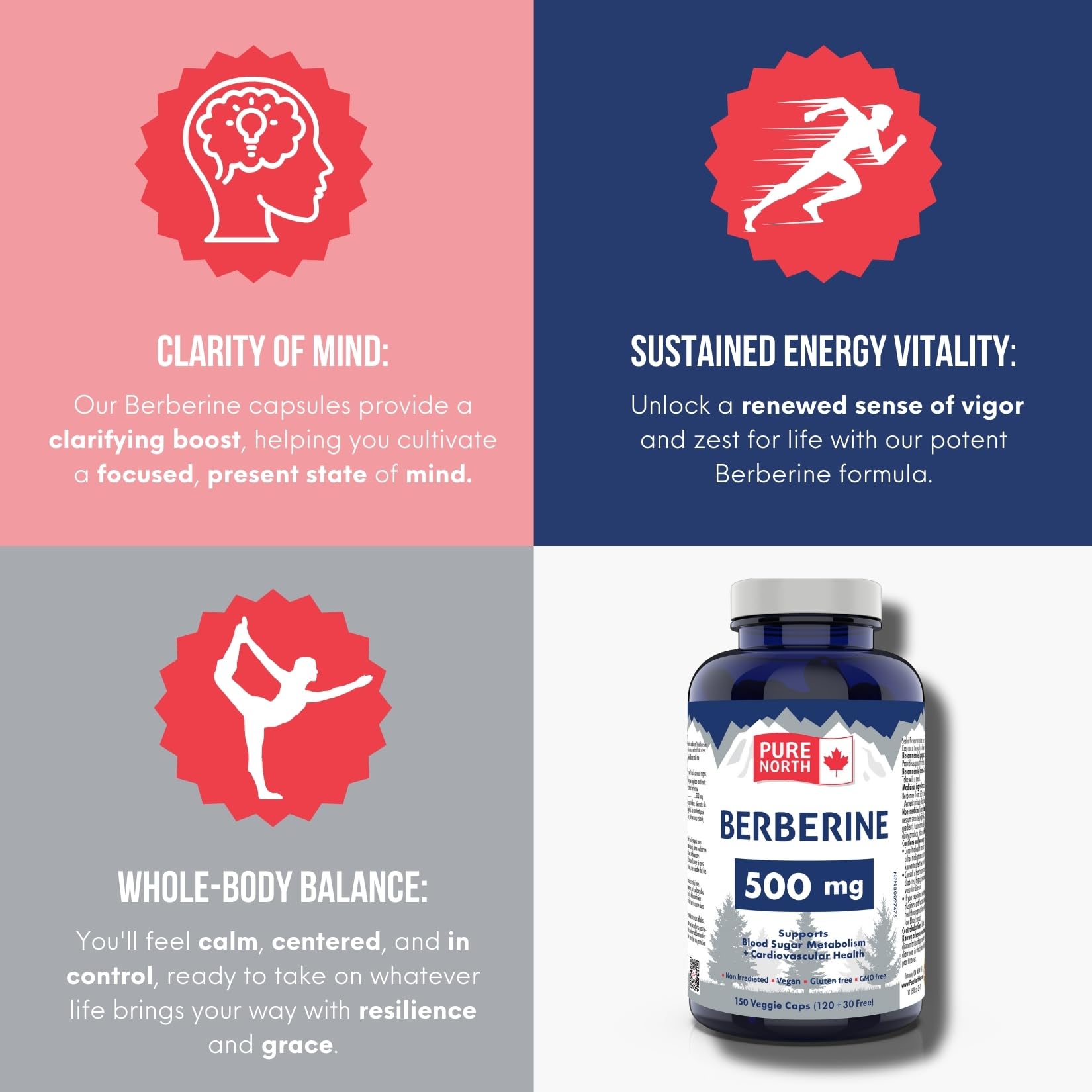 Pure North Naturals - Berberine 500mg, 150 Vegan Capsules 75-Day Supply - Supports Blood Sugar Metabolism + Cardiovascular Health and Gut Health - 3rd Party Tested - Formulated & Made in Canada