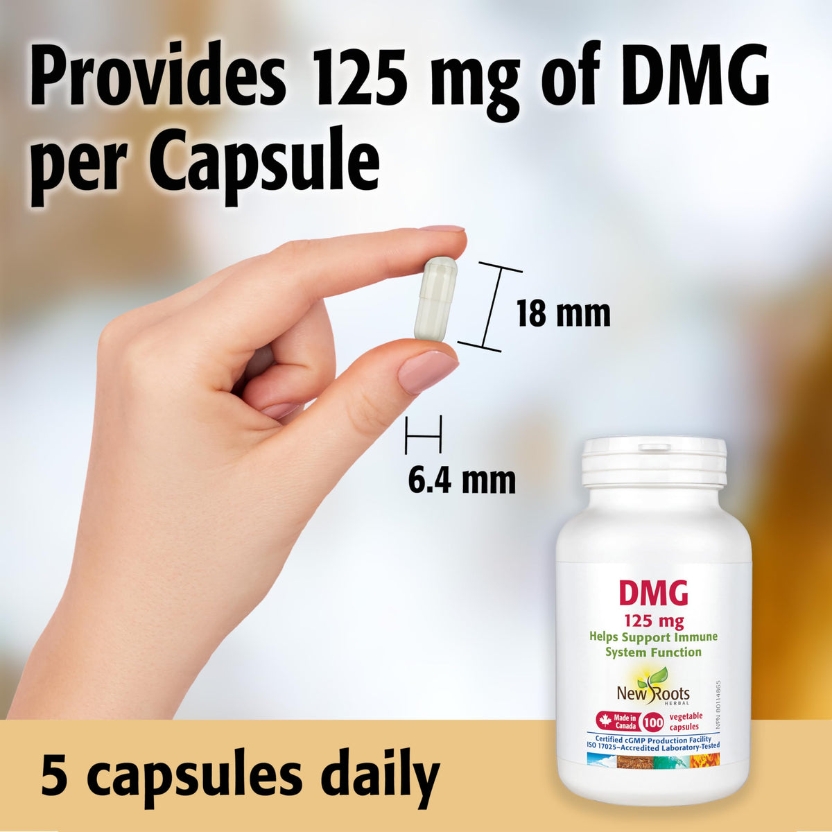 New Roots Herbal DMG, Glycine, Immune Support, 125 mg, 100 Capsules