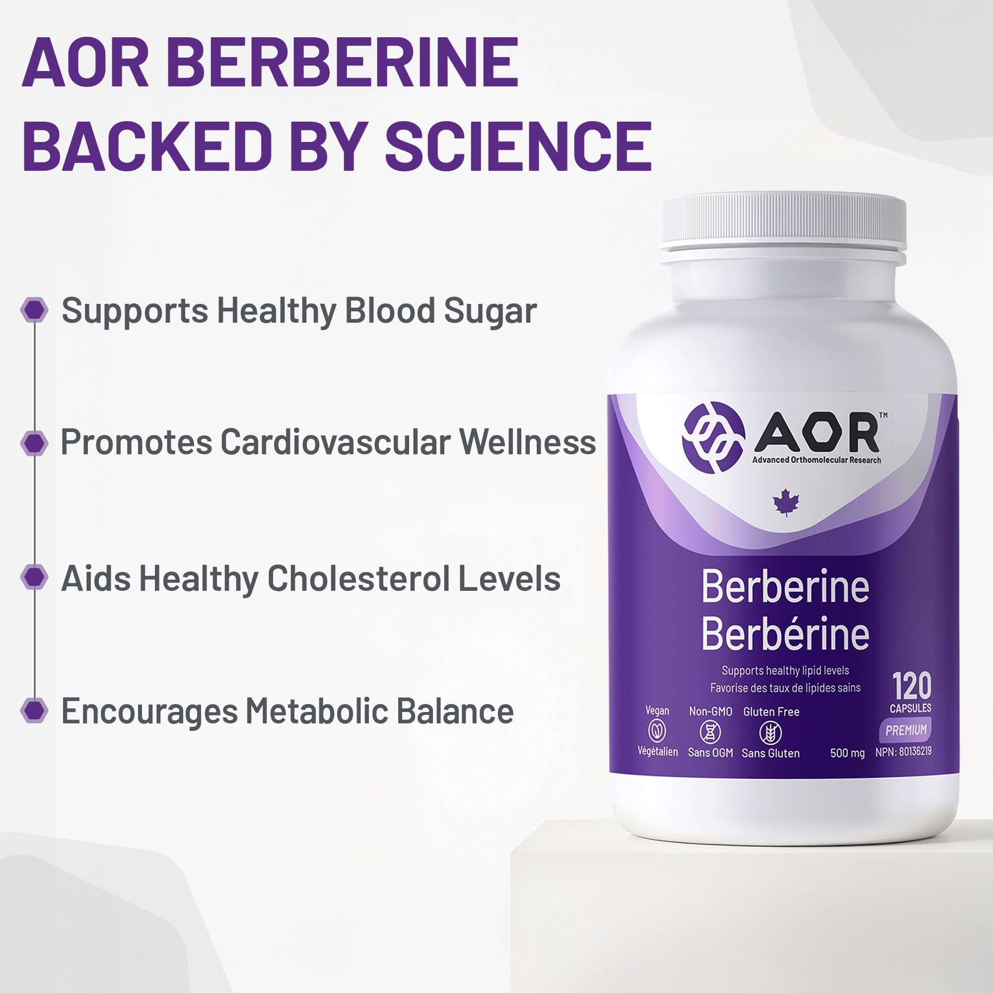 AOR - Berbérine 500mg - Complément de berbérine pour des taux lipidiques et un cholestérol sains, santé cardiovasculaire - Supplément pour abaisser le cholestérol LDL
