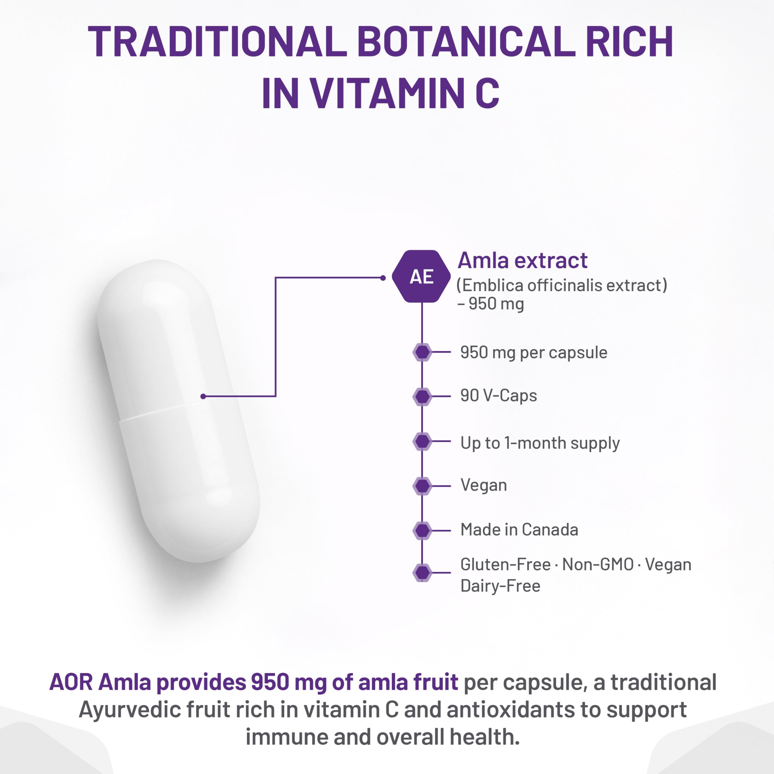 AOR Amla 950mg, 90 gélules (30 jours d'approvisionnement) - Complément d'Amla Biologique pour le Soutien du Cholestérol, Extrait d'Amla Puissant - Végétalien, Sans OGM et Sans Gluten - Aide à Maintenir le Bien-être Digestif et un Taux de Lipides Sain