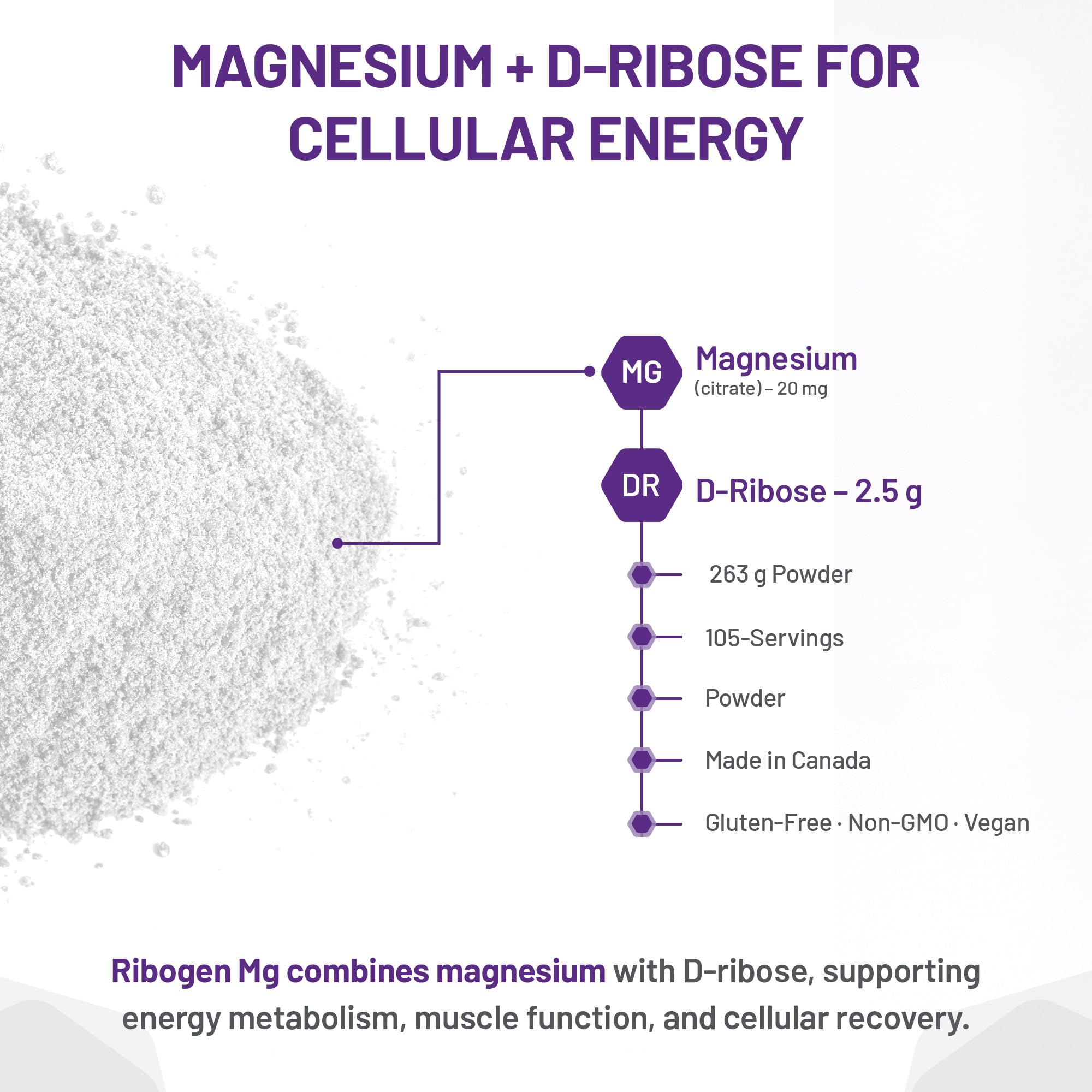 AOR Ribogen Mg 263g 105 portions – Poudre de citrate de magnésium avec D-Ribose, favorise les niveaux d'énergie et la performance physique, améliore la fonction musculaire, la récupération et la santé osseuse – Végétalien, sans OGM et sans gluten