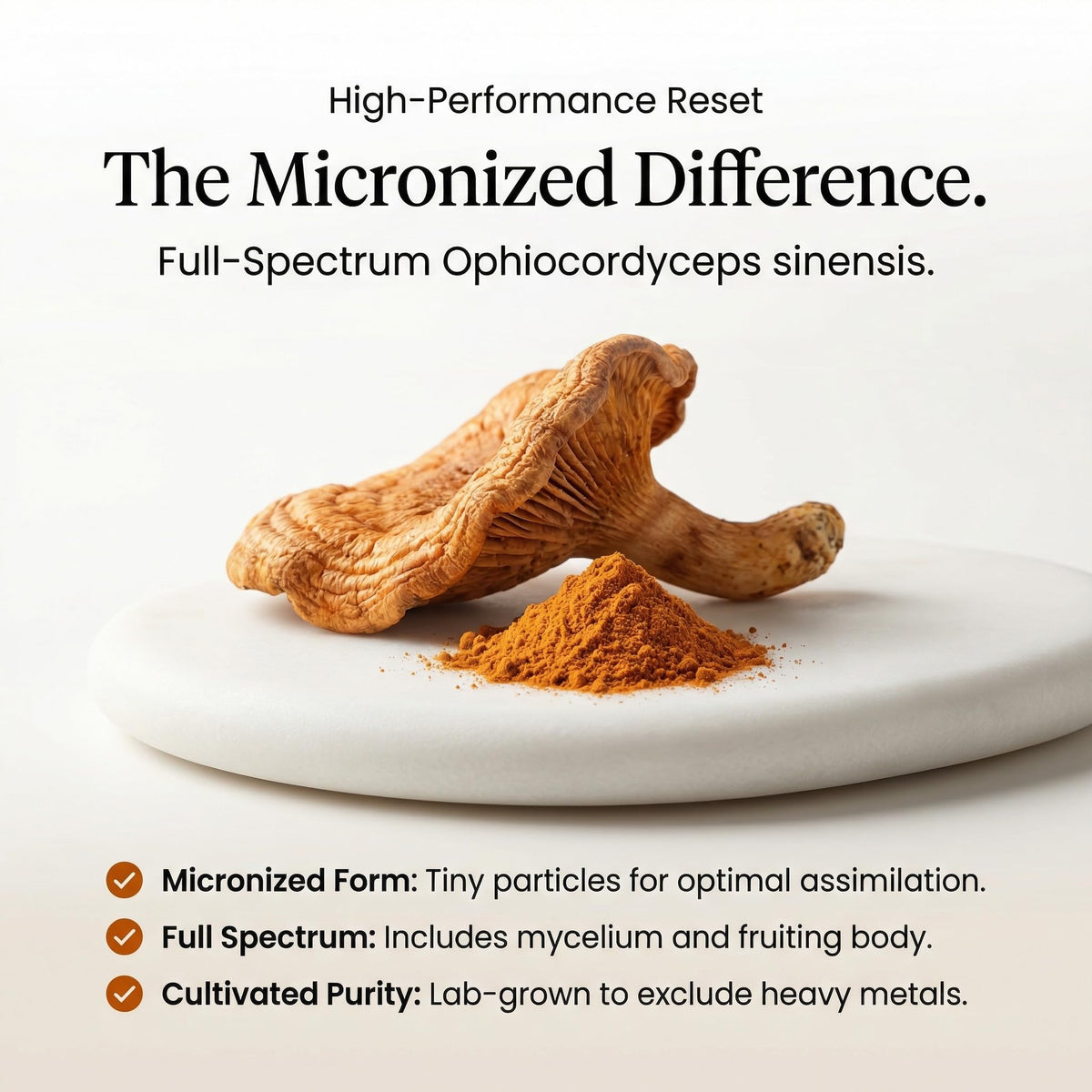 PURICA Organic Cordyceps Mushroom Powder, Micronized, 100 g, 55 Servings