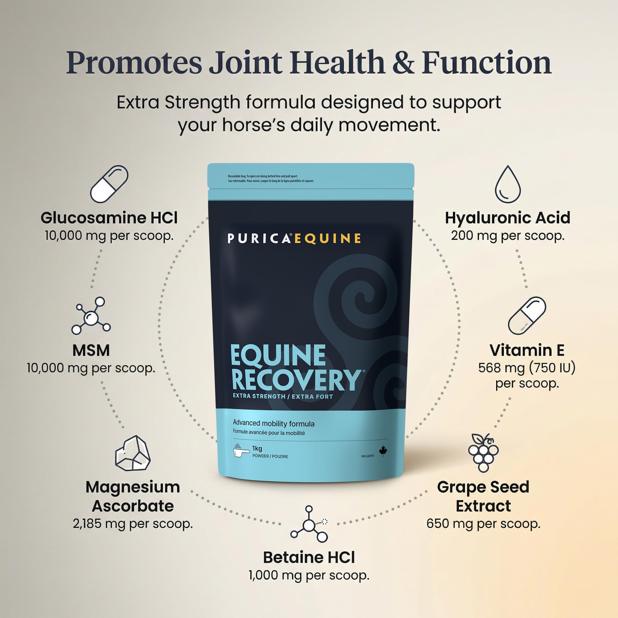 PURICA Equine Recovery