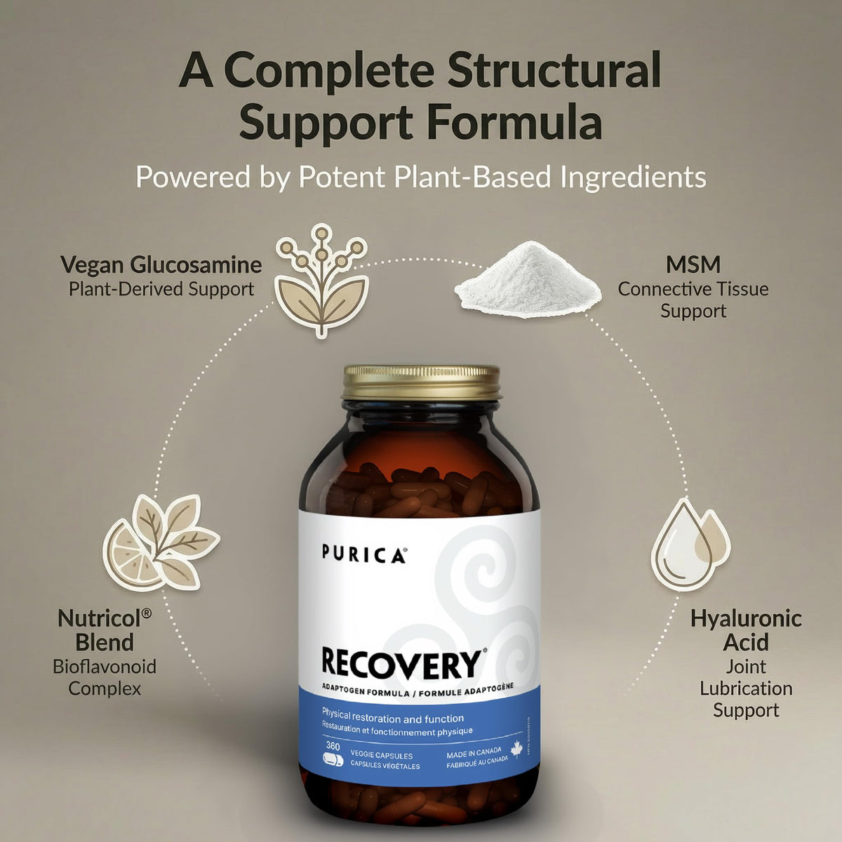 PURICA Recovery Adaptogen Formula, Vegan Capsules, 1000mg MSM, 360 Capsules