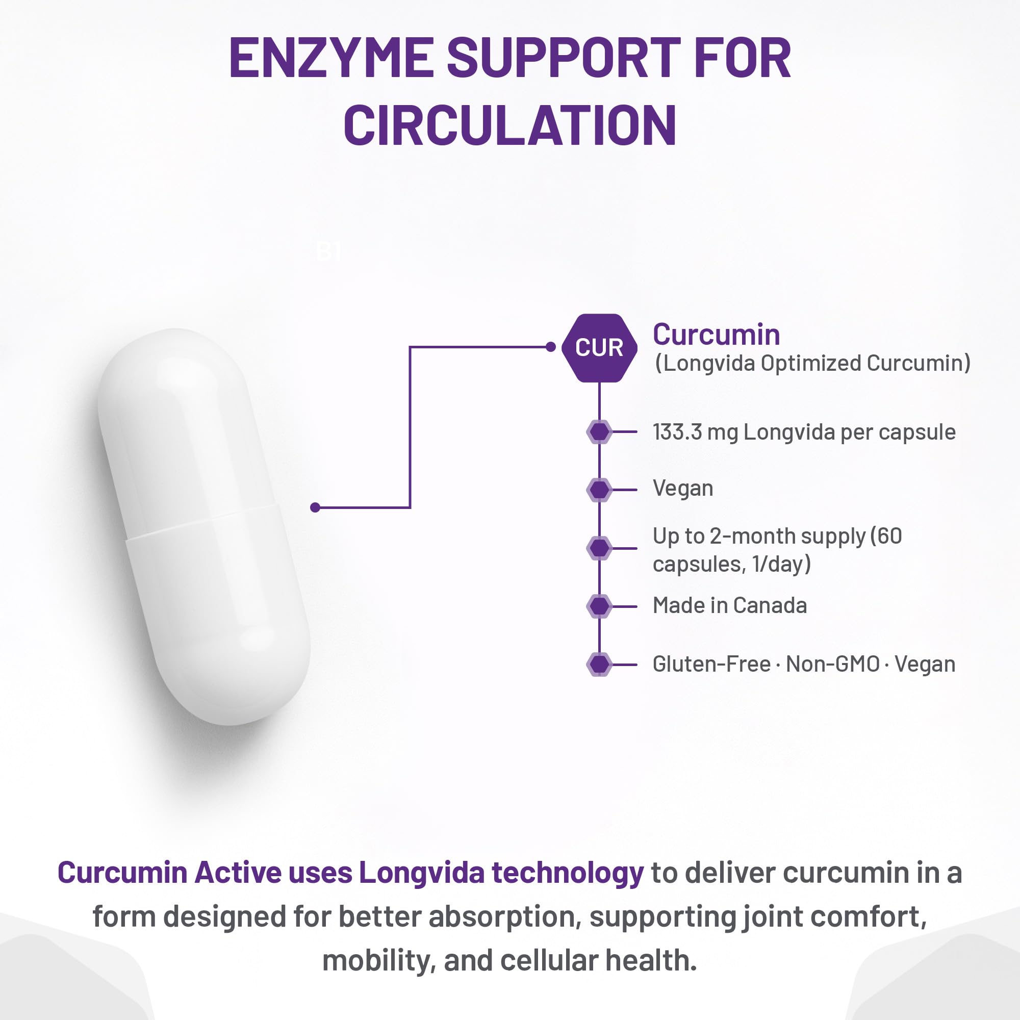 AOR Curcumin Active 133,3mg, 60 gélules (approvisionnement de 60 jours) - Végétalien, sans OGM et sans gluten - Absorption améliorée - Confort articulaire et soutien antioxydant