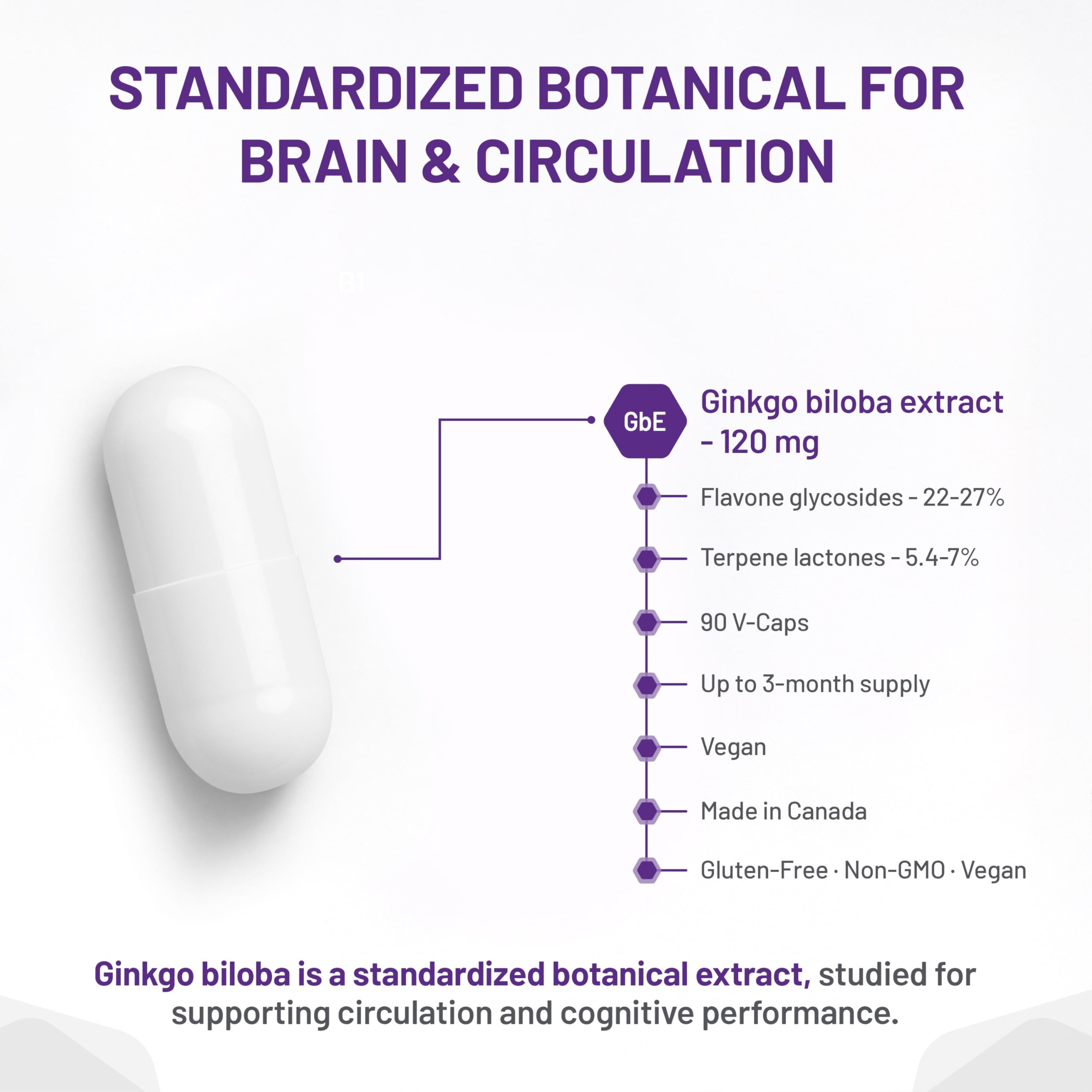 AOR Ginkgo Biloba 120 mg 90 gélules – Approvisionnement de 90 jours – Extrait de Ginkgo Biloba pour le soutien cognitif – Clarté mentale, concentration améliorée et performances cérébrales – Sans OGM, végétalien, supplément antioxydant pour la vitalité