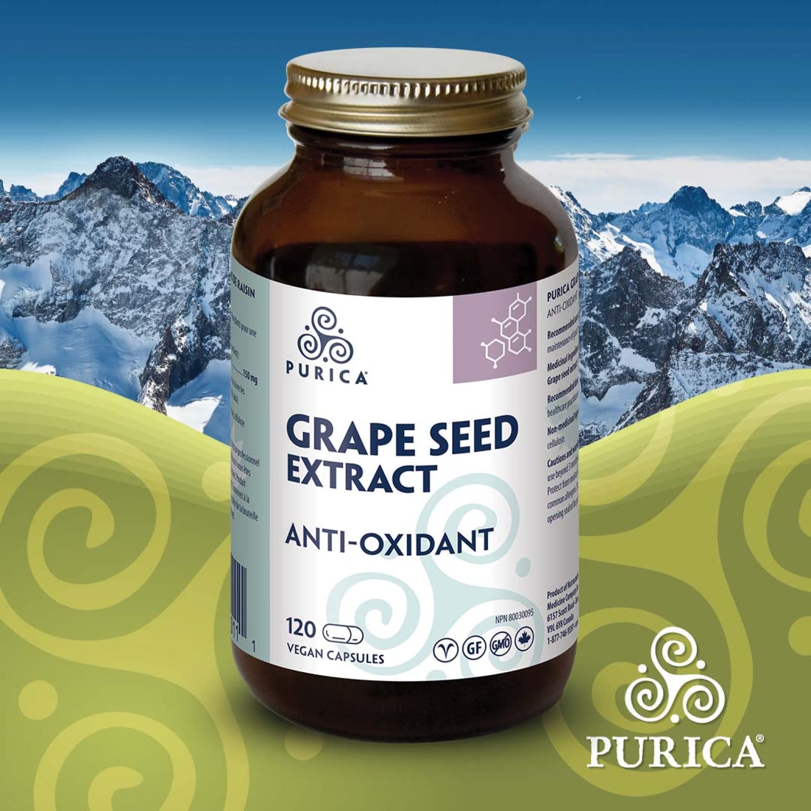 PURICA - Extrait de pépins de raisin, 120 capsules végétaliennes, cure de 60 jours - Source d'antioxydants pour le maintien d'une bonne santé, mélange concentré de proanthocyanidines standardisées - Sans OGM et sans gluten