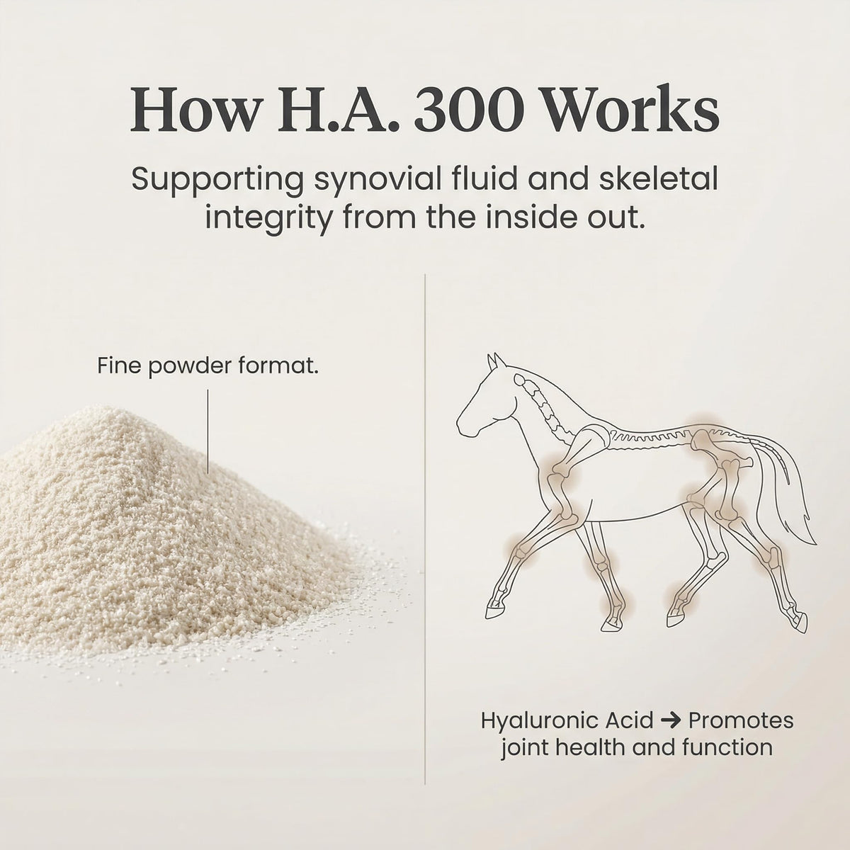 PURICA Horse Supplement, Hyaluronic Acid for Horses, 330g, 30 Day Supply
