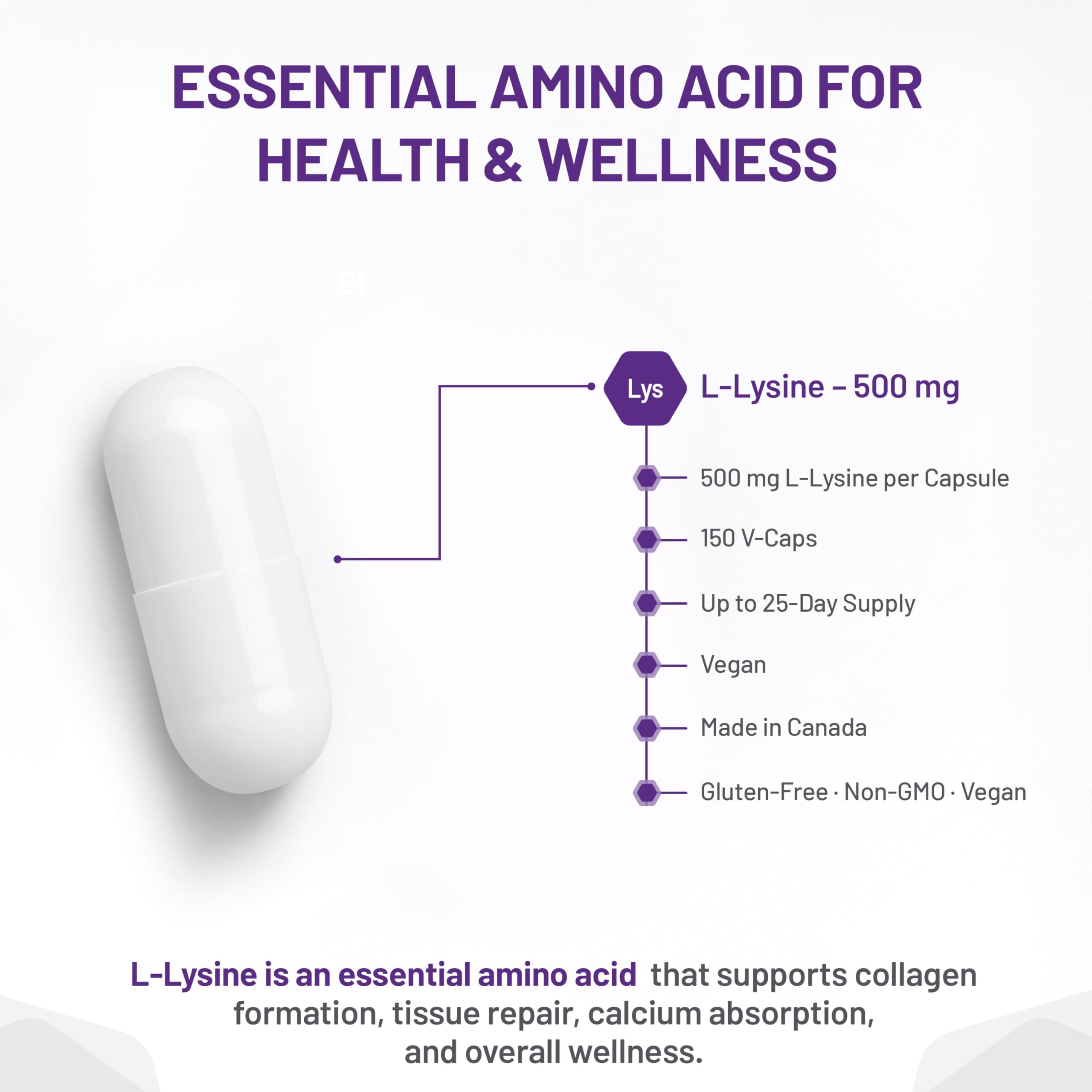 AOR L-Lysine 500mg 150 Vegan Capsules with Essential Amino Acid Support for Wellness, Gluten-Free & Non-GMO Supplement for Everyday Care, Promotes Healthy Hair, Nails & Overall Vitality