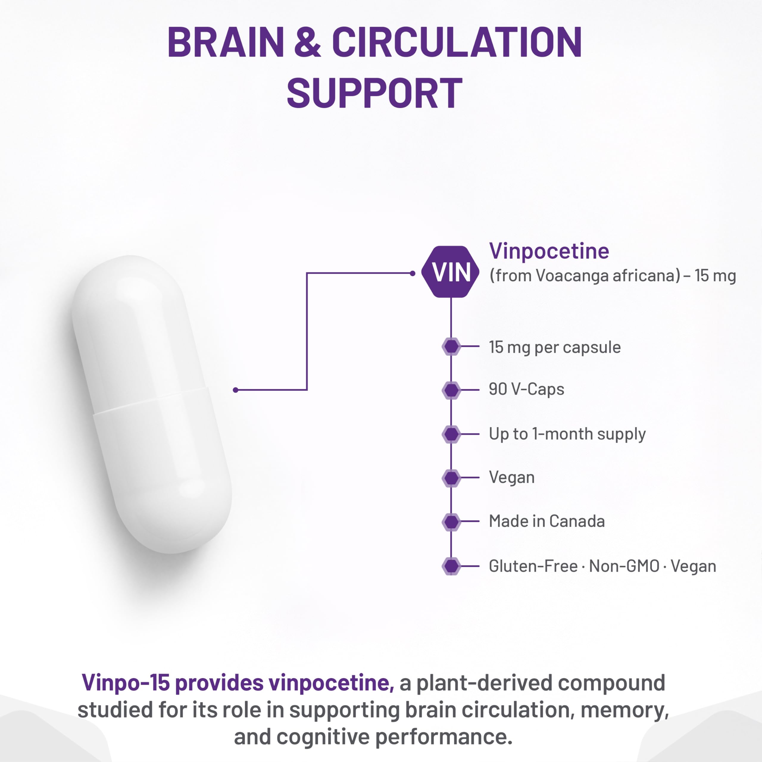 AOR Vinpo-15 15mg, 90 Capsules 30-Day Supply - Brain Function & Focus Support - Vegan, Non-GMO & Gluten-Free - Cognitive Health, Boosts Mental Clarity, Promote Healthy Circulation & Non-Ginkgo Formula