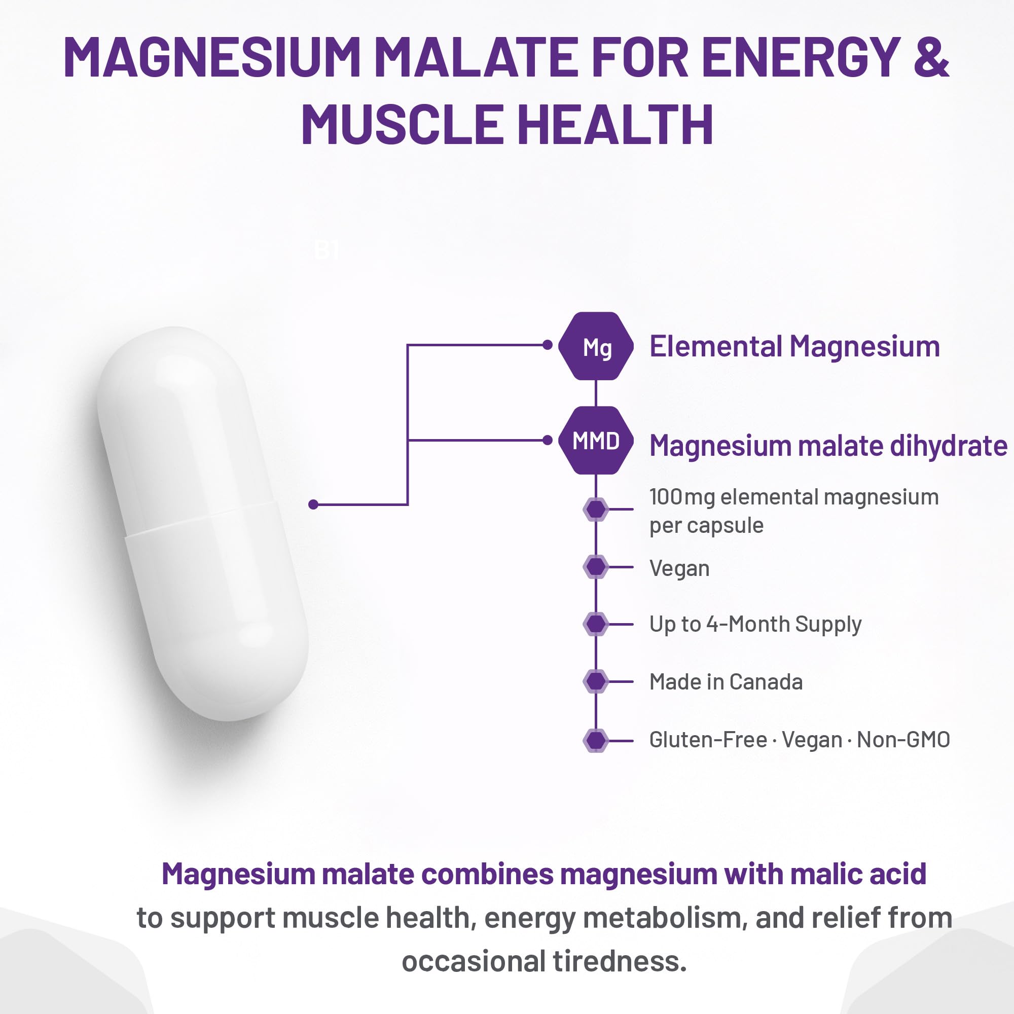 Mag Malate Renew 120 gélules