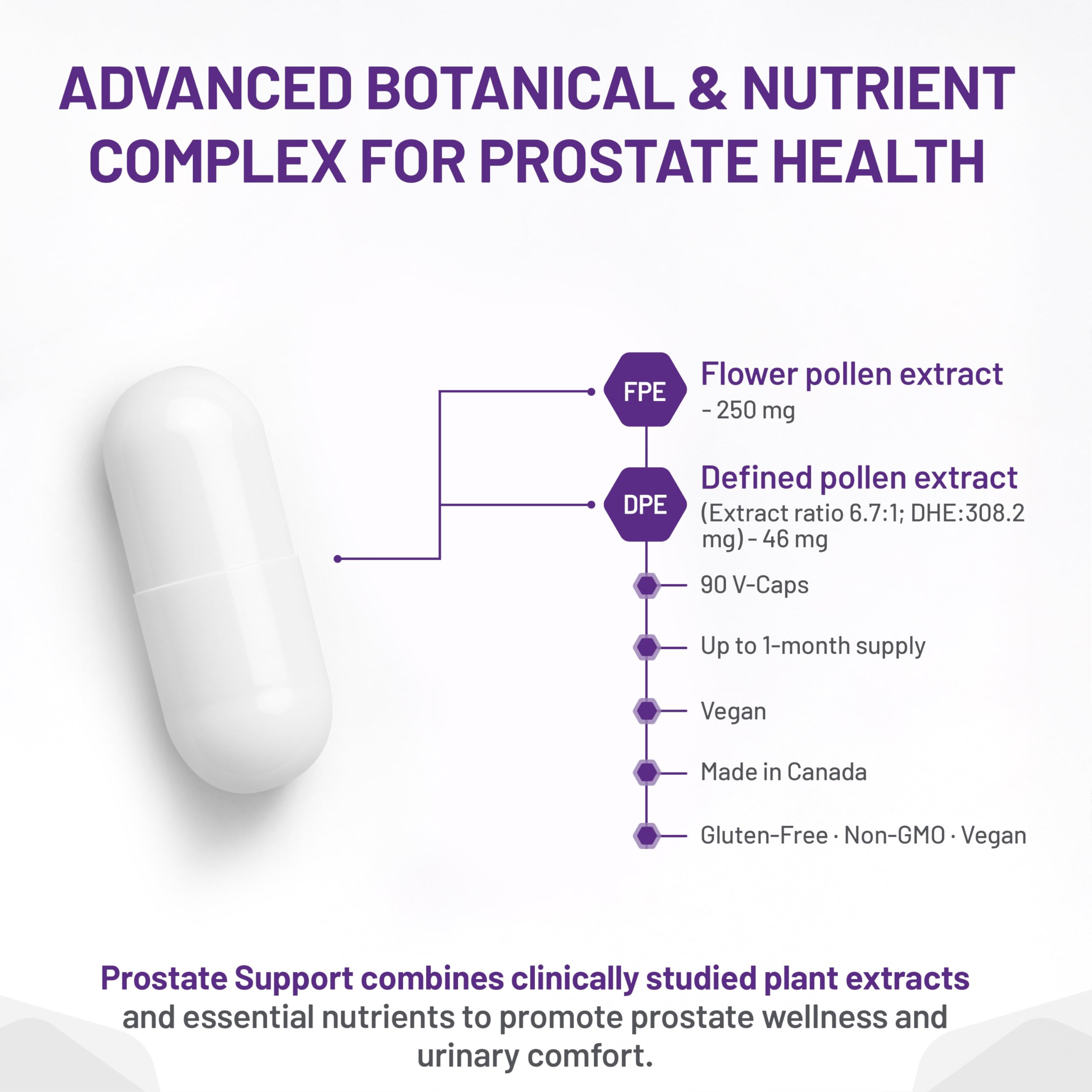 AOR Prostate Support, 90 capsules végétaliennes, cure de 30 jours – Formule santé de la prostate pour hommes – Soutient la fonction prostatique et la santé urinaire – Favorise le confort urologique – Améliore la vitalité masculine