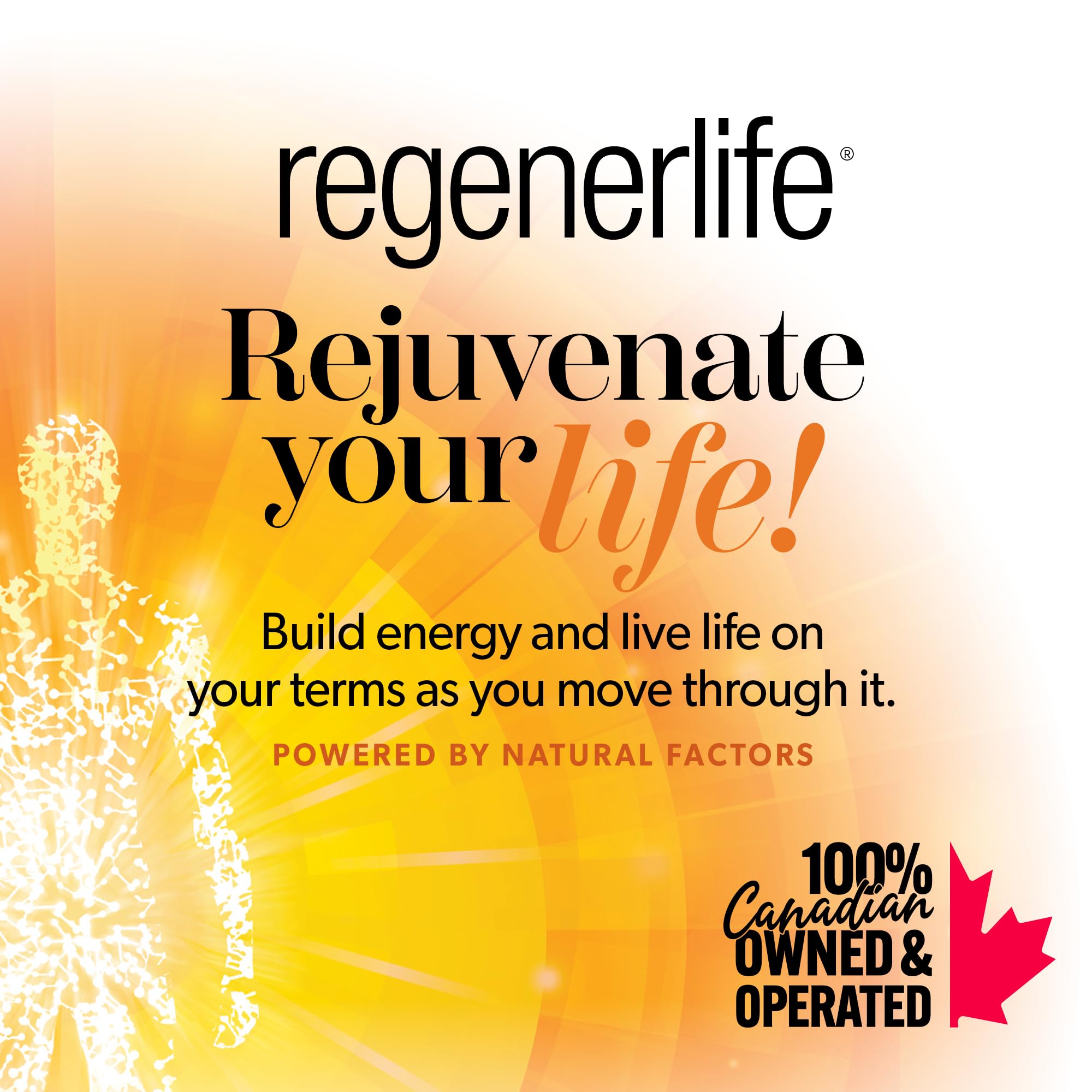 Natural Factors Regenerlife Resveratrol 500 mg, 60 Vegetarian Capsules, All-Natural Trans-Resveratrol, Potent Antioxidant, Supports Healthy Aging, Proudly Canadian