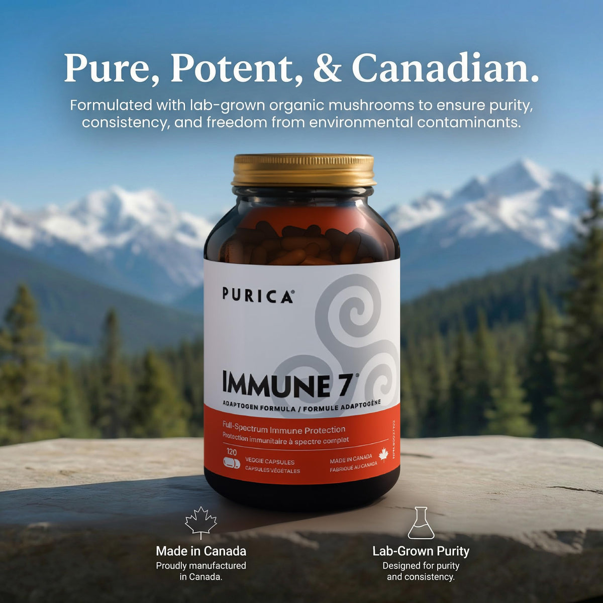PURICA Immune 7 Mushroom Supplement, Turkey Tail, Reishi, 120 Capsules