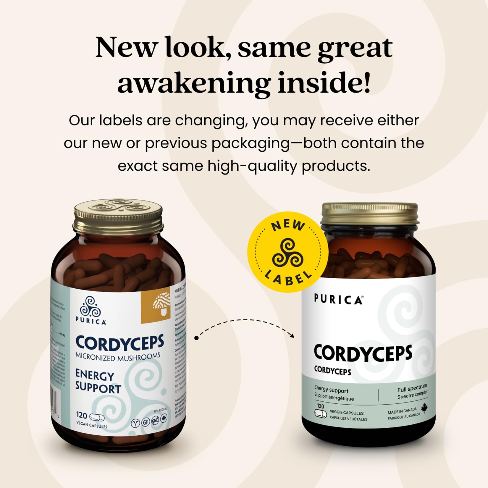PURICA Cordyceps Champignons micronisés
