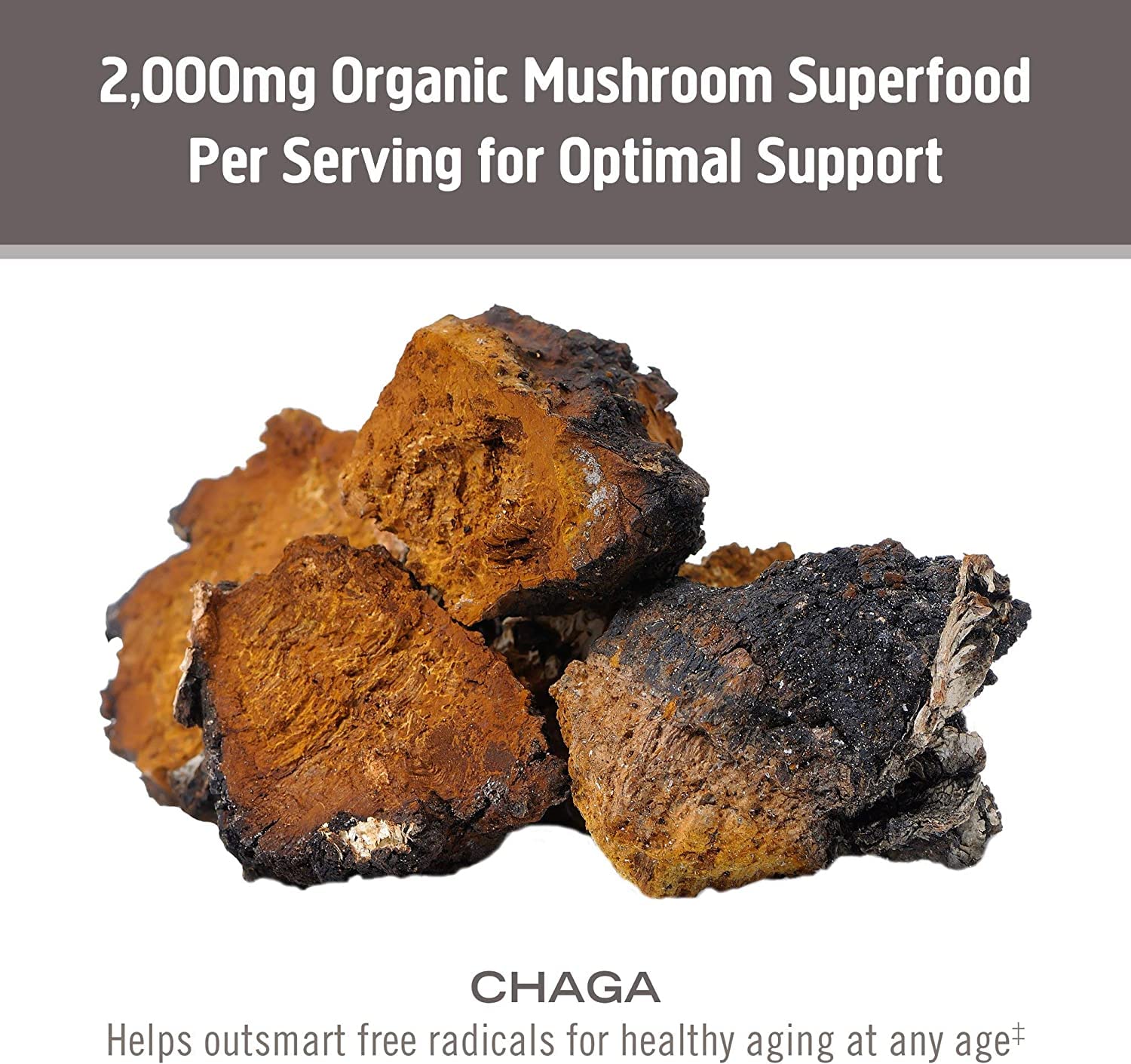 Om Chaga Mushroom 667mg 75 Caps 75 Fl Oz
