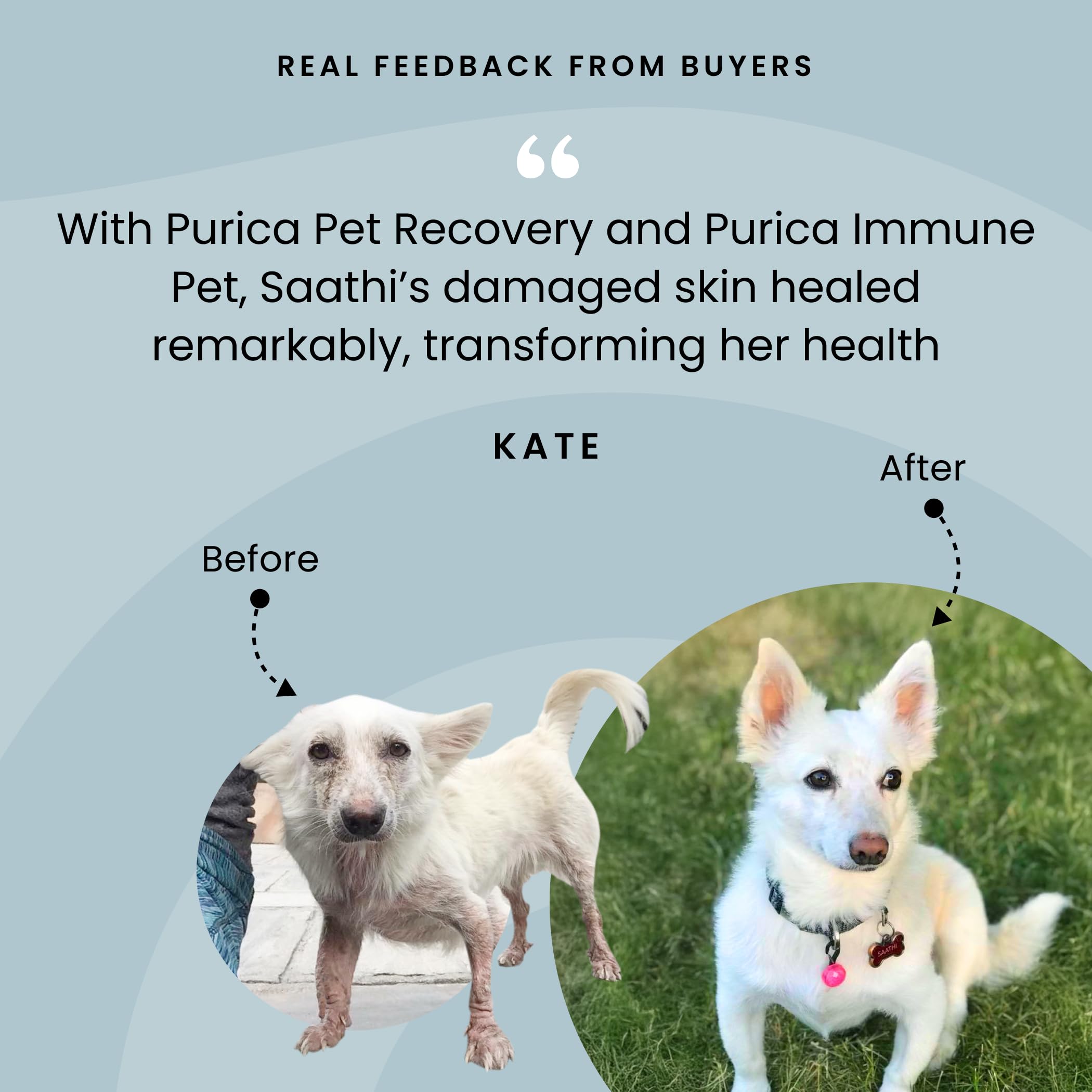 PURICA Récupération Animaux