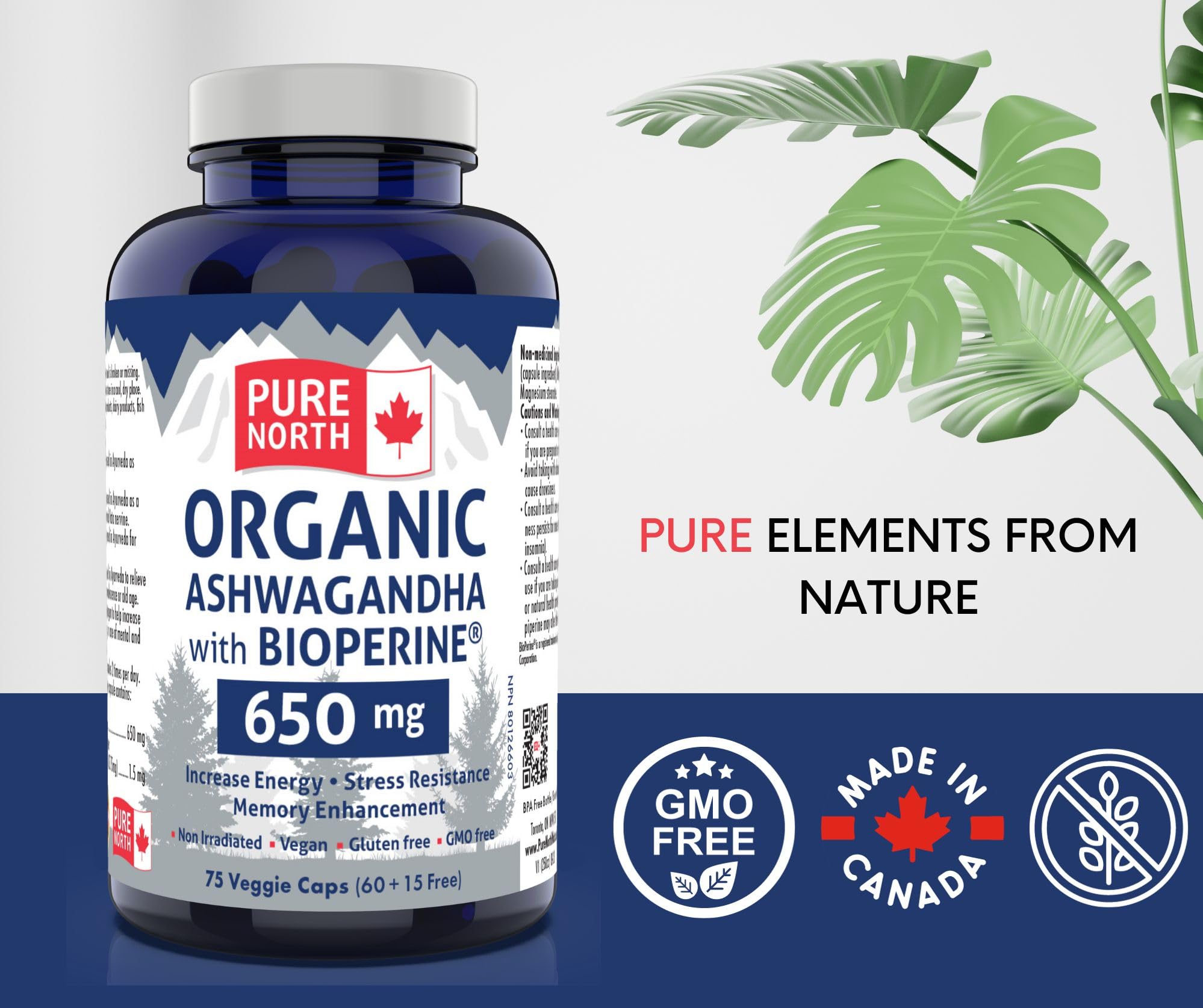 Pure North Naturals - Ashwagandha Bio avec BioPerine, 75 gélules végétaliennes - Améliore l'énergie, les fonctions cognitives et la mémoire - Testé par une tierce partie - Formulé et fabriqué au Canada