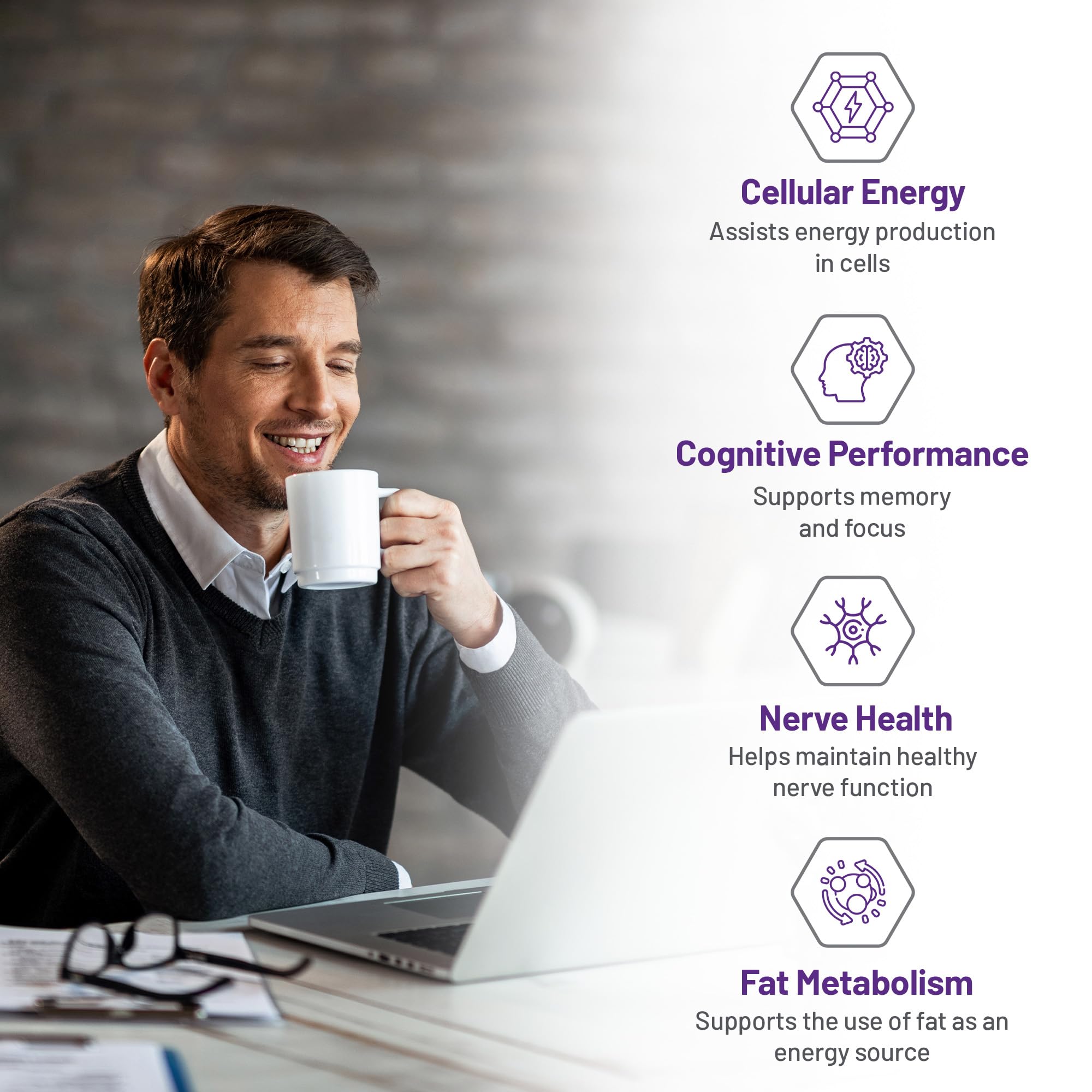 AOR ALCAR Acétyl-L-Carnitine 500mg 120 Gélules - Approvisionnement de 60 Jours - Supplément de L-Carnitine pour le Soutien Énergétique, la Performance Cognitive, la Clarté Mentale, Sans OGM, Végétalien, Format Pratique pour un Mode de Vie Équilibré