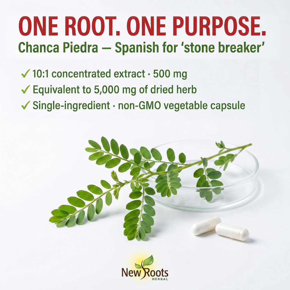 New Roots Herbal Chanca Piedra, 90 Plant-Based Capsules, 90 Day Supply for Optimal Urinary Tract Health and Digestion Support