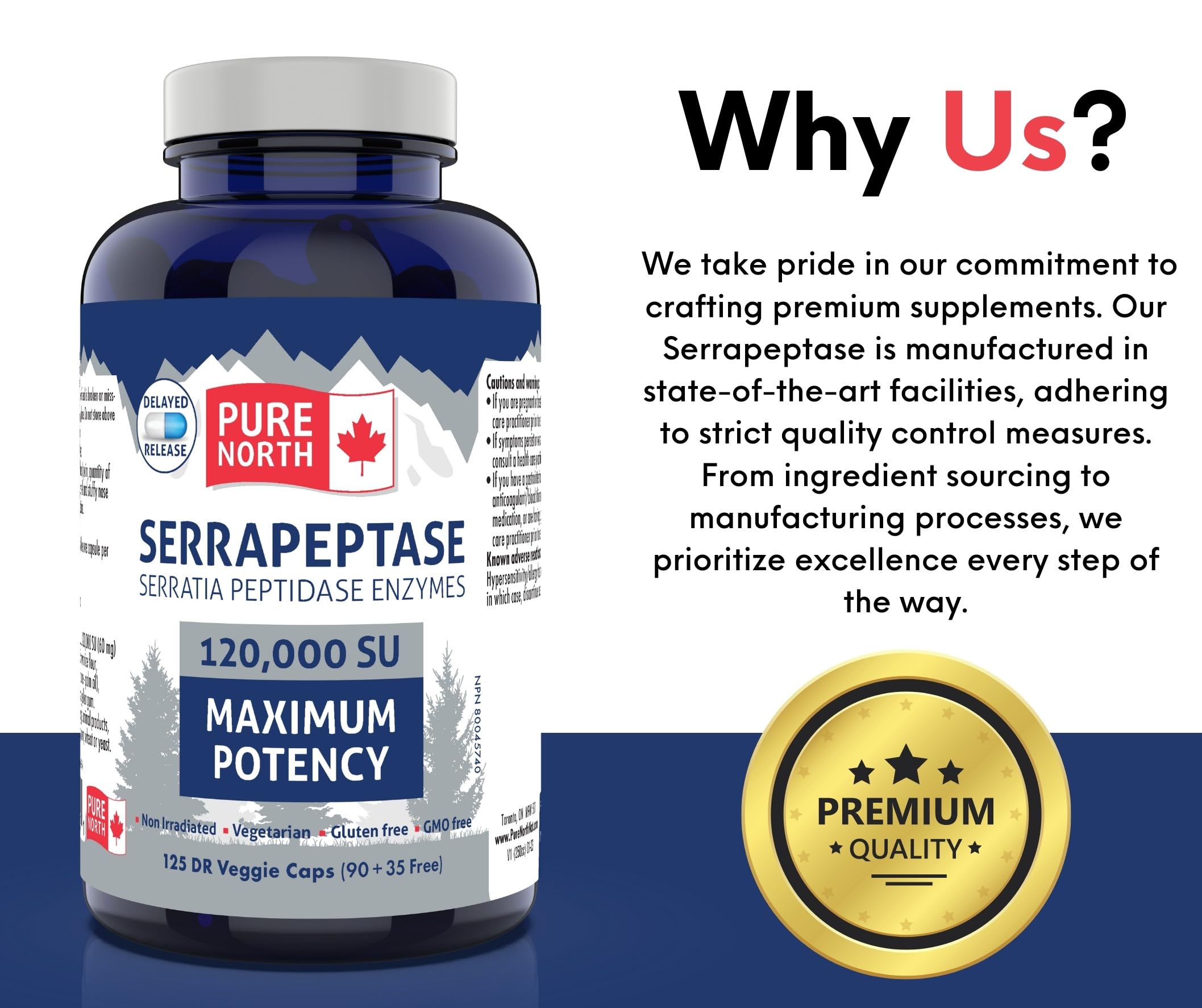 Pure North Naturals - Serrapeptase Enzymes Serratia Peptidase 120 000 SU Potence Maximale (90+35 Gélules) Approvisionnement de 125 Jours - Soutient la Santé Respiratoire - Testé par un Tiers - Formulé et Fabriqué au Canada