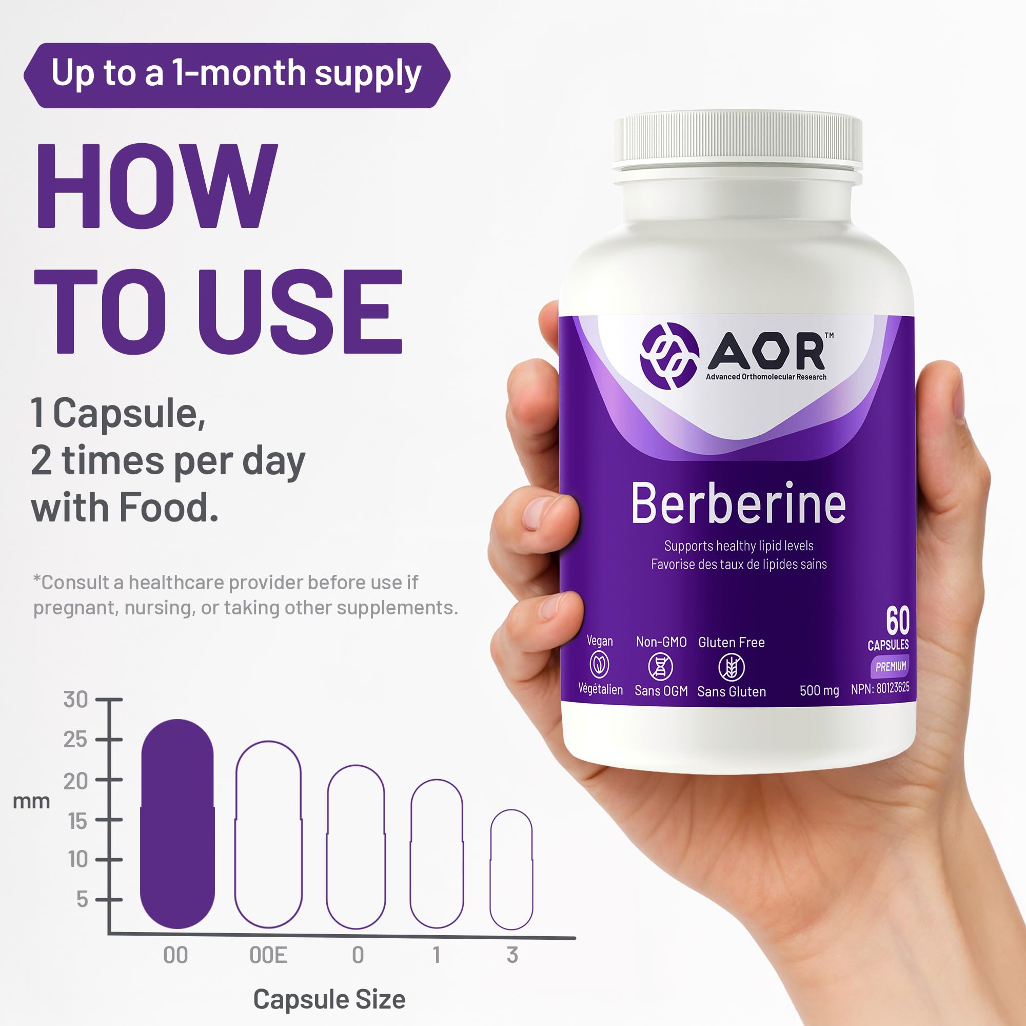 AOR - Berbérine 500mg - Complément de berbérine pour des taux lipidiques et un cholestérol sains, santé cardiovasculaire - Supplément pour abaisser le cholestérol LDL