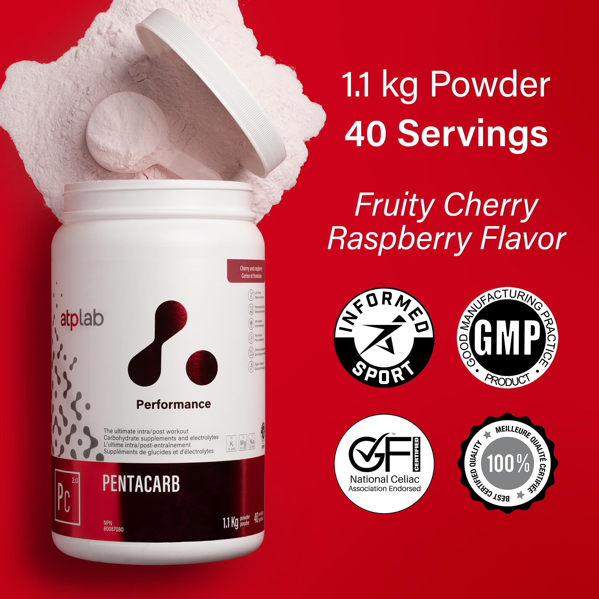 ATP LAB Pentacarb 1,1kg Poudre 40 portions