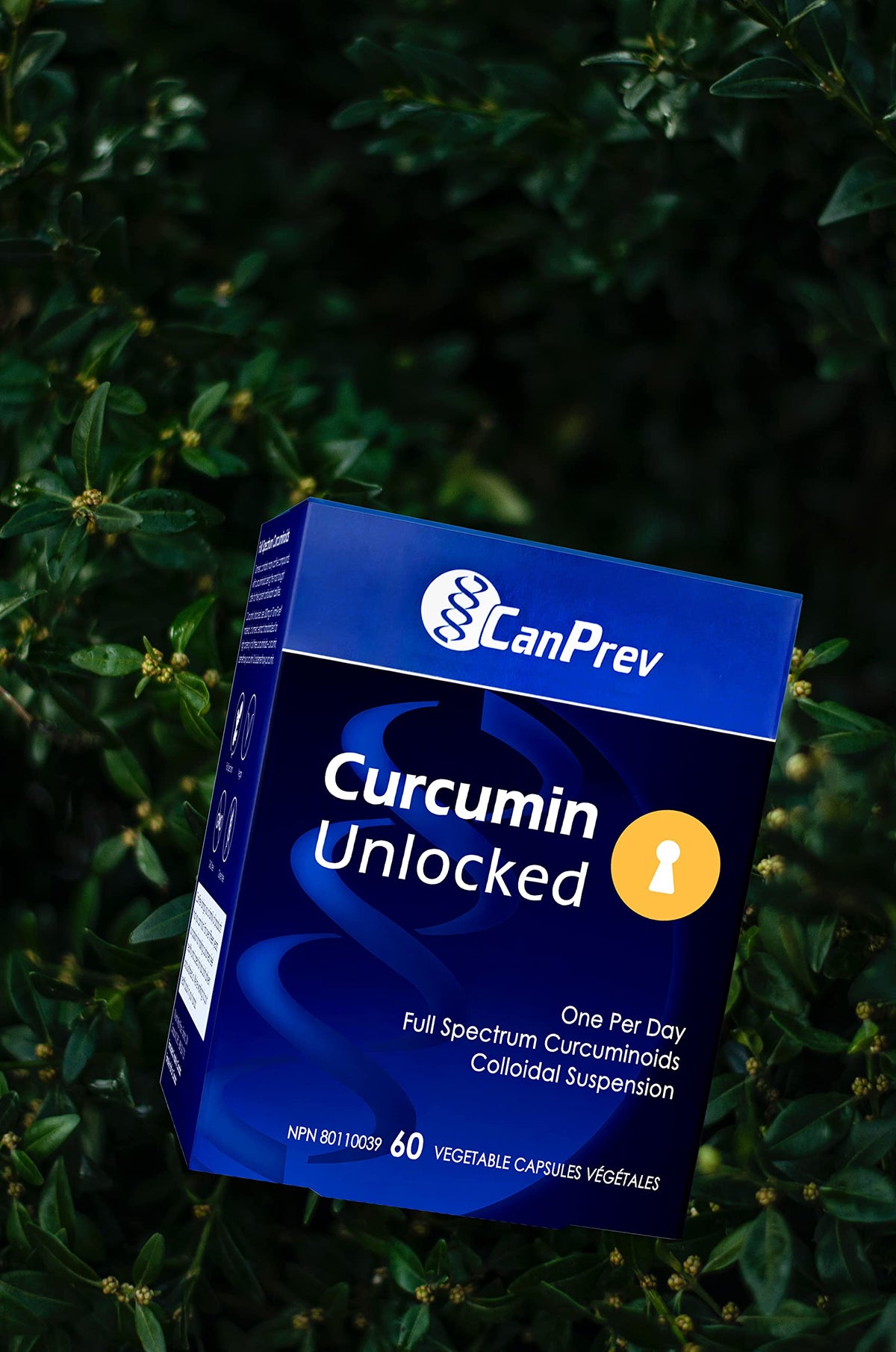 CanPrev Curcumin Unlocked, Turmeric Supplements, 22:1 Extract, 60 V Caps