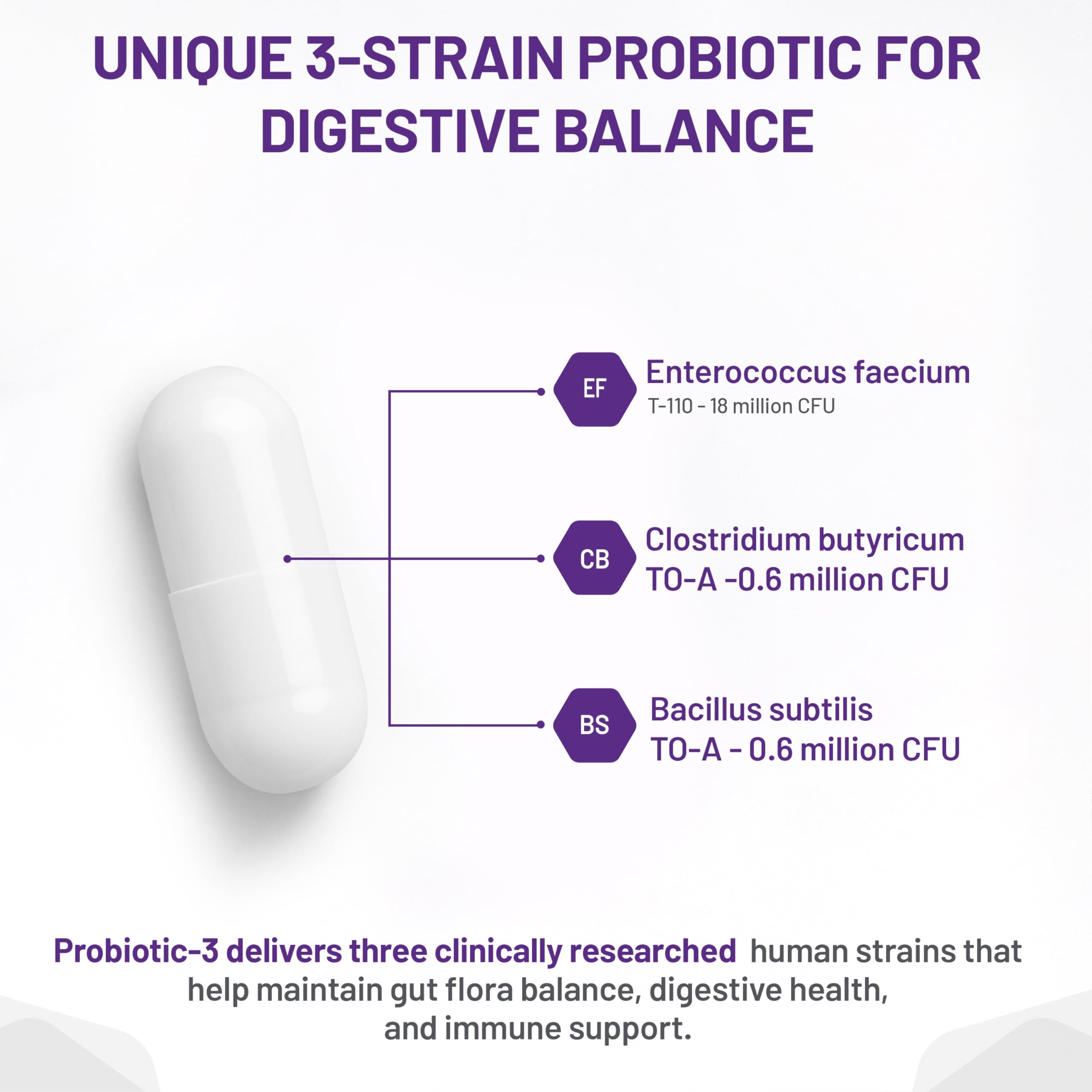 AOR Probiotic 3 - Gut Health Complex for Women & Men, Supports Digestive and Immune System, Contains Probiotics and Digestive Enzymes, Ideal for Balanced Intestinal Flora
