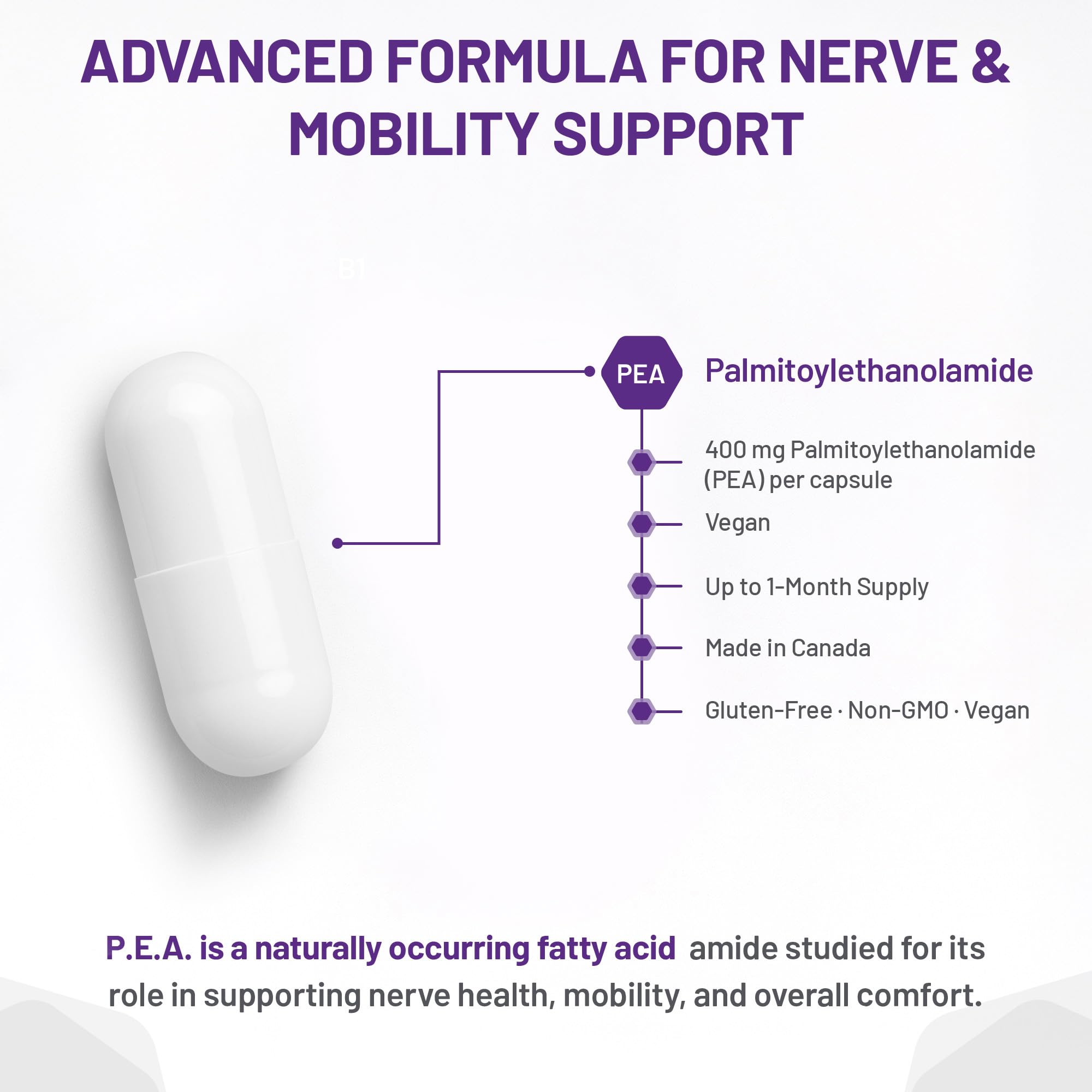 AOR P.E.A.K Activate 400 mg – Supplément de palmitoyléthanolamide (PEA) pour le confort et le bien-être – Sans OGM et végétalien – Supplément de PEA pour un bien-être équilibré et un soutien quotidien