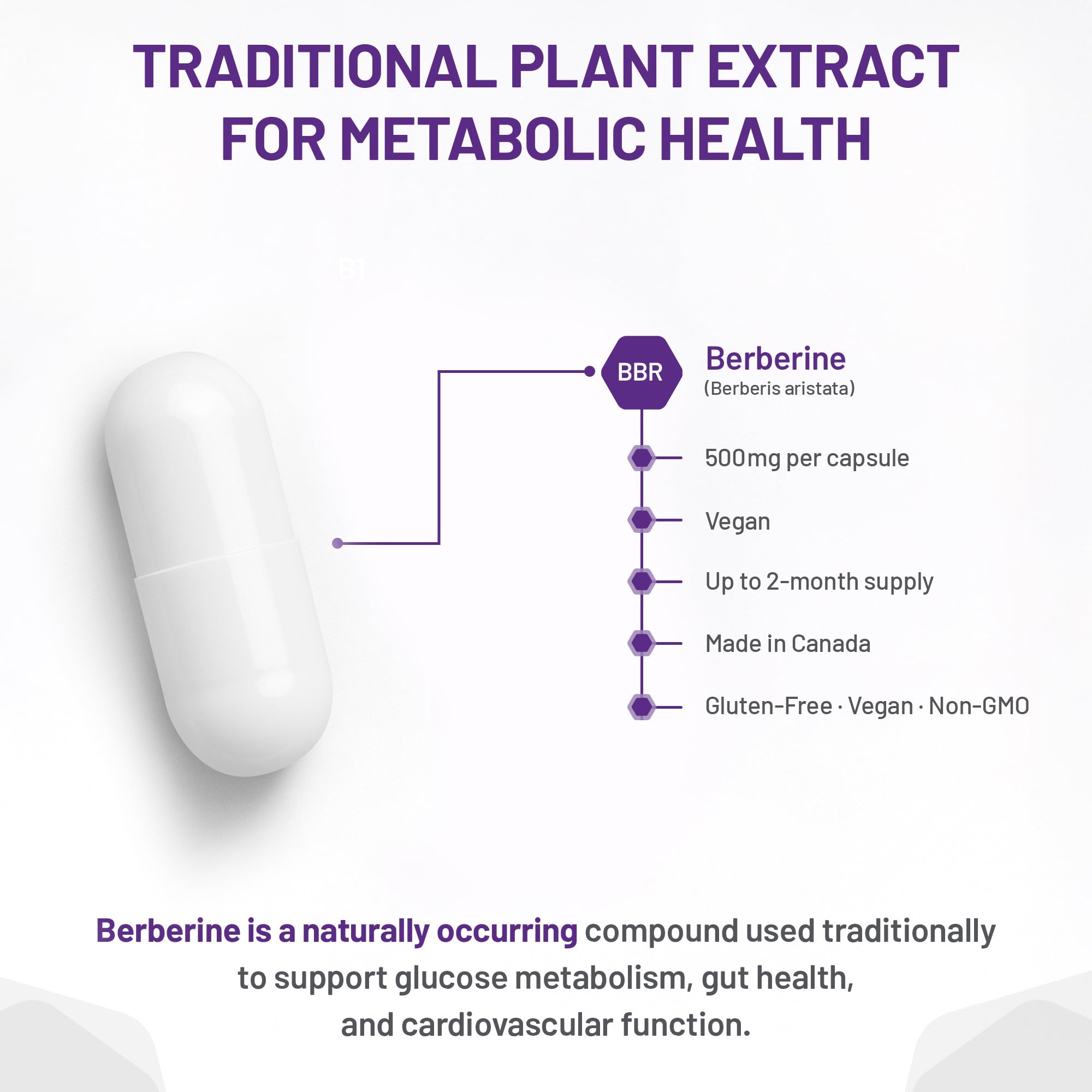 AOR - Berbérine 500mg - Complément de berbérine pour des taux lipidiques et un cholestérol sains, santé cardiovasculaire - Supplément pour abaisser le cholestérol LDL