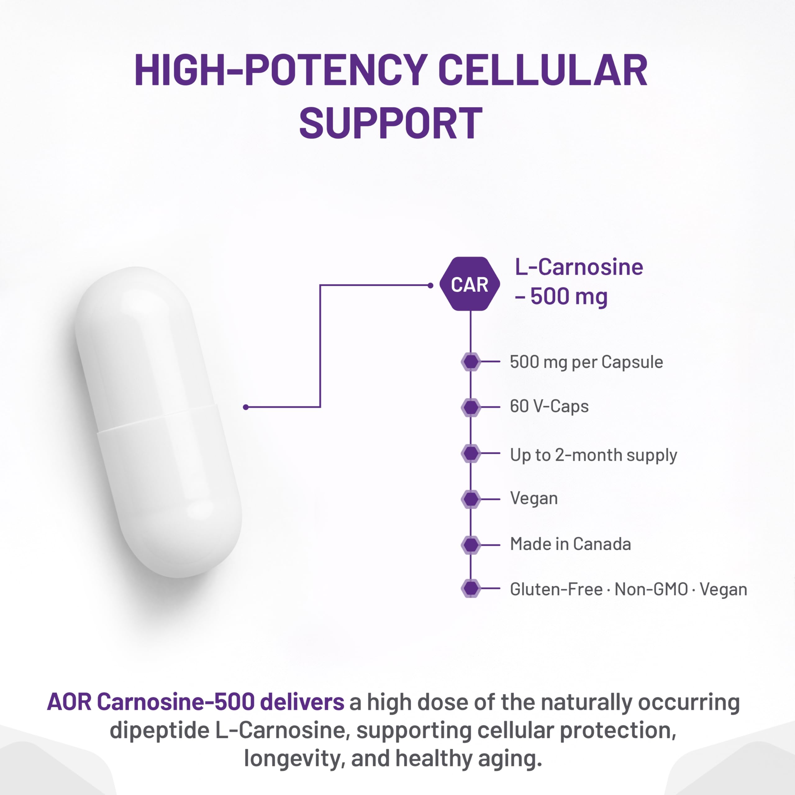 AOR Carnosine Supplément 500 mg Acides Aminés - Soutien Antioxydant pour la Fonction Cellulaire, la Vitalité Musculaire et le Bien-être Cognitif - Formule Végétalienne, sans OGM et sans Gluten