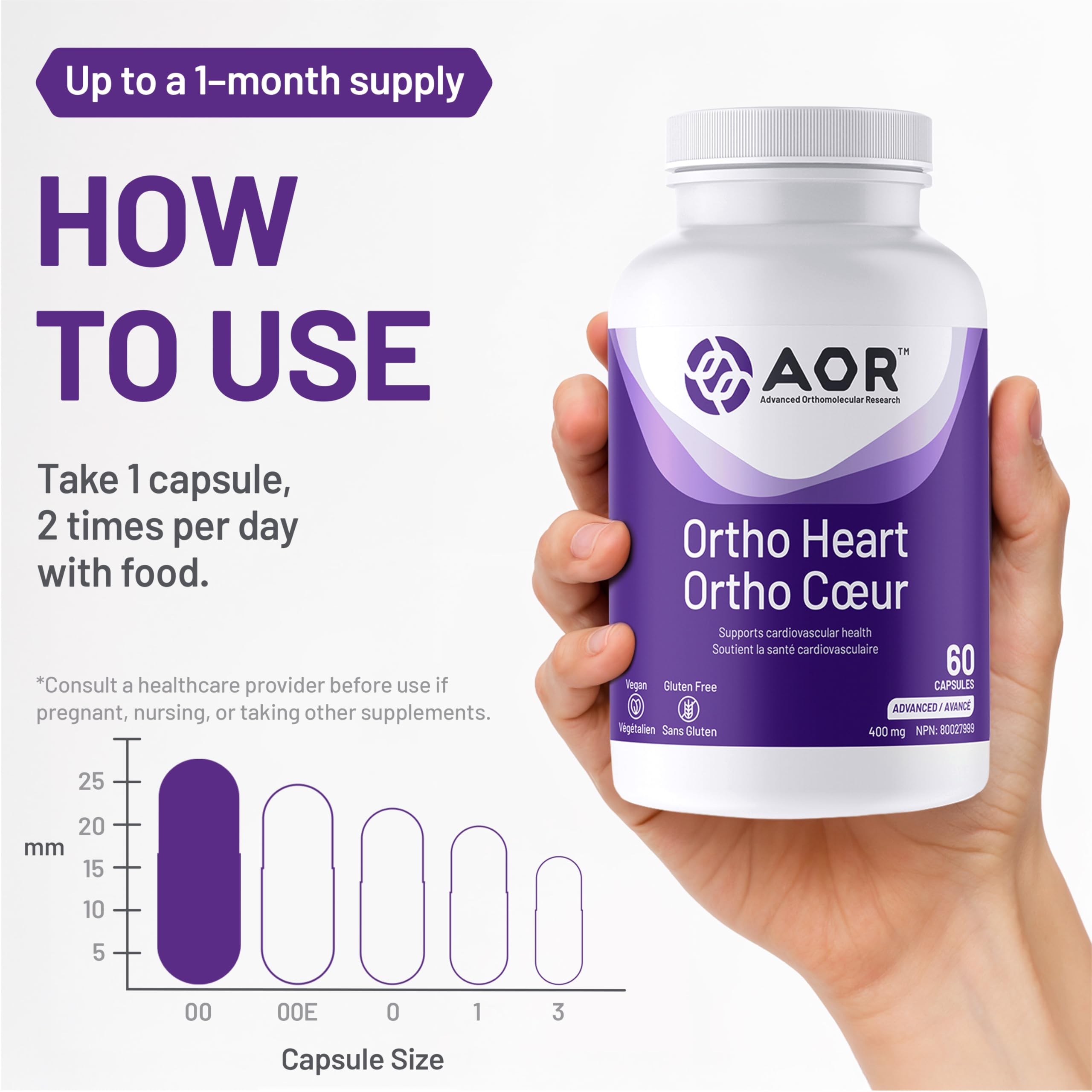 AOR Ortho Heart 400mg 60 Caps 30-Day Supply - Cardiovascular Support with Garlic, L-Theanine & Vitamin C, Circulatory Health, Support Balanced Lipid Level for Overall Heart Health, Gluten-Free & Vegan