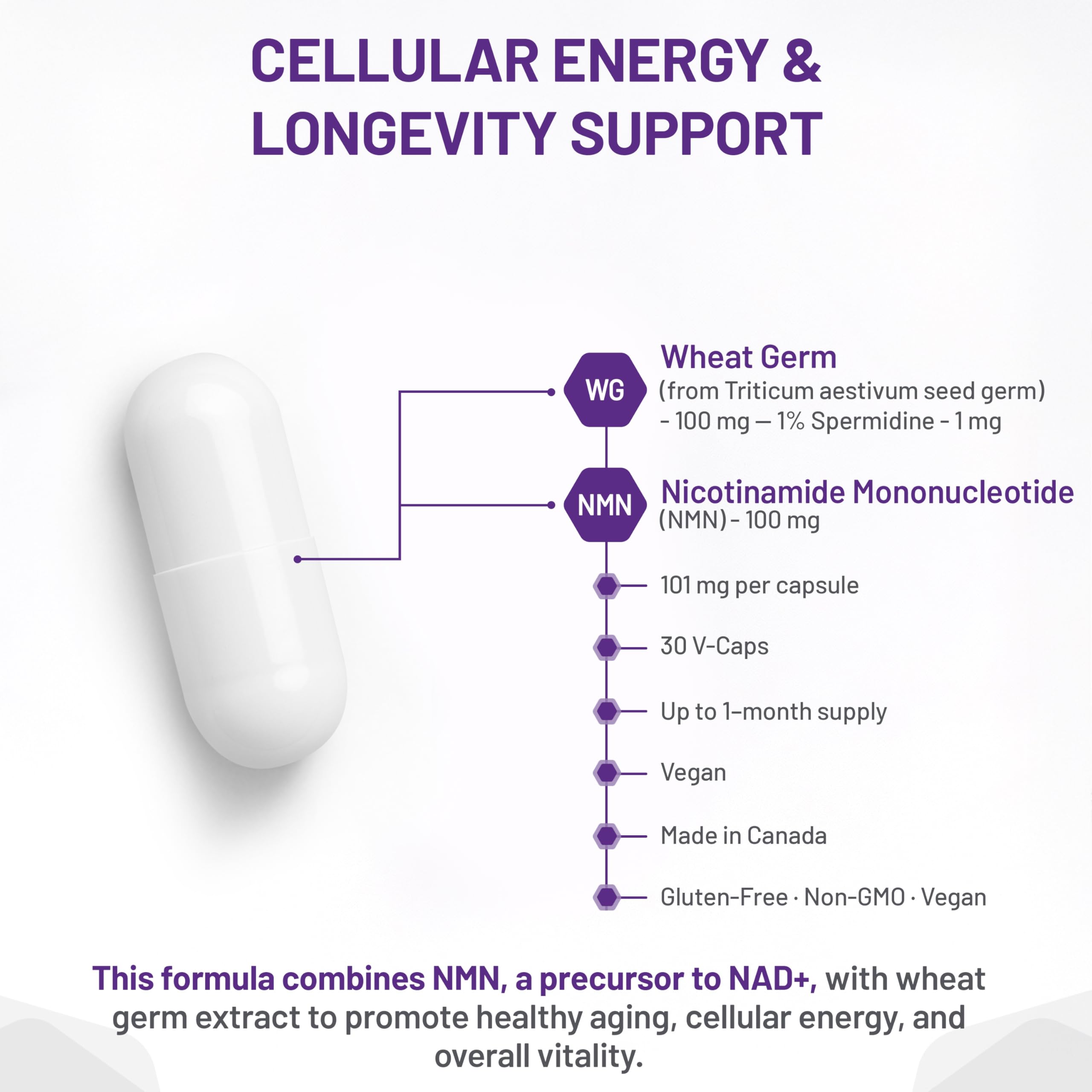 AOR NMN + Wheat Germ, 30 Capsules 30-Day Supply - Nicotinamide Mononucleotide Supplement with Spermidine, Maintain NAD+ Level, Promotes Cellular Vitality, Support Energy & Metabolism, Vegan & Non-GMO