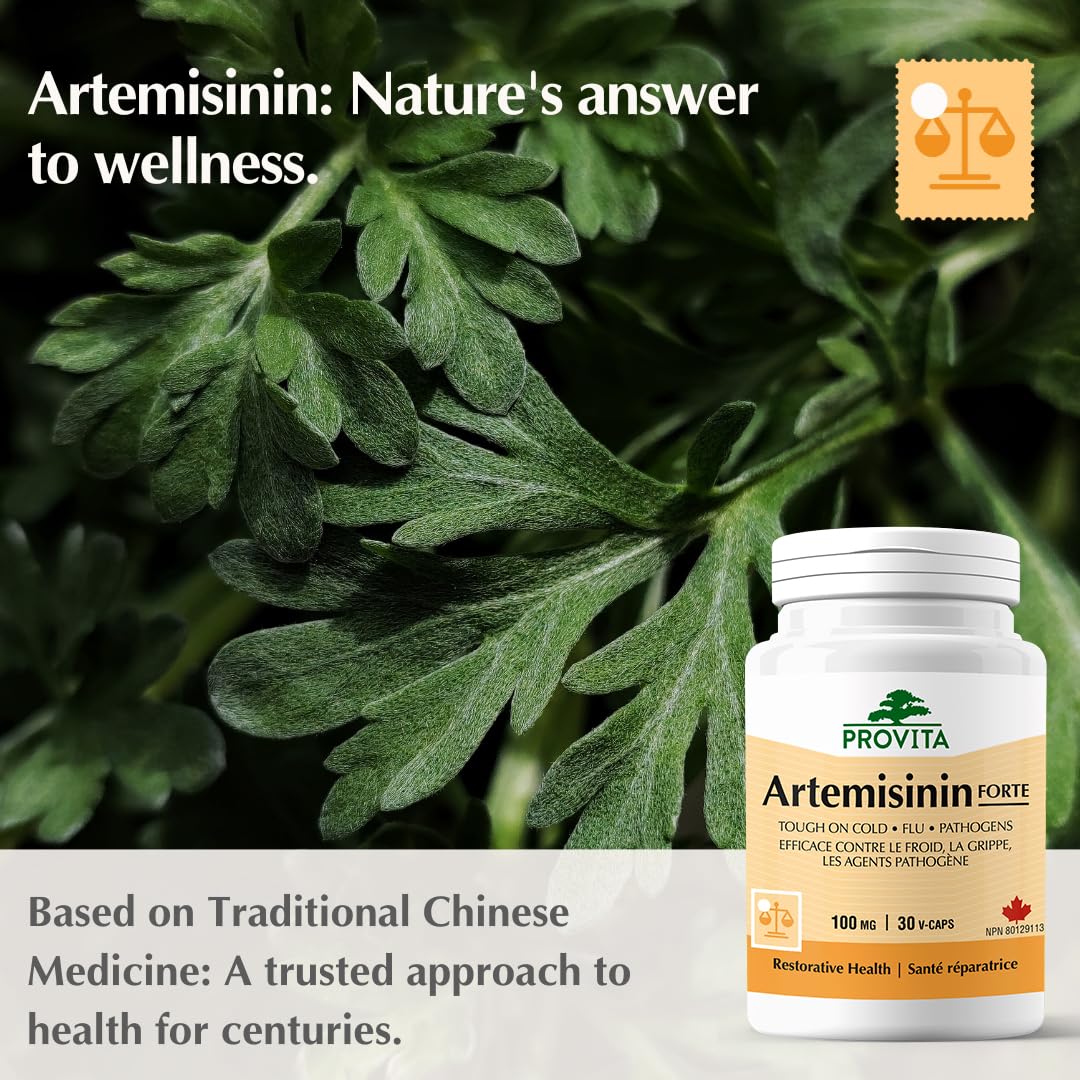 Artemisinin Pro™ - Remède par Provita | Artemisia Annua ou Armoise annuelle | Extrait 50:1 | Soutient le système immunitaire | Régule l'immunité | Basé sur la médecine traditionnelle chinoise