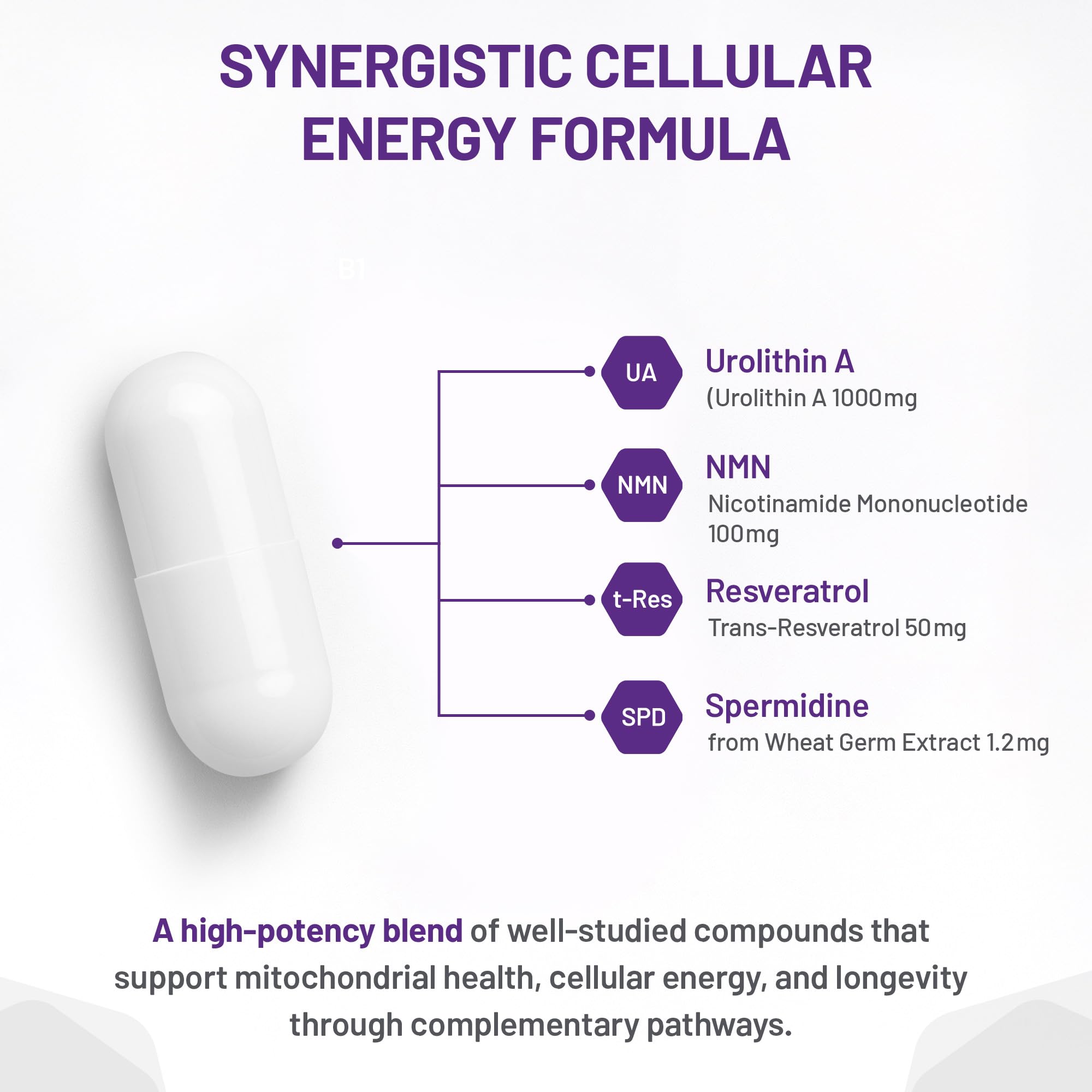 AOR - Urolithin A+ 90 Gélules 30 jours de cure - Avec NMN, Resvératrol et Spermidine - Une combinaison synergique pour le métabolisme énergétique et des nutriments