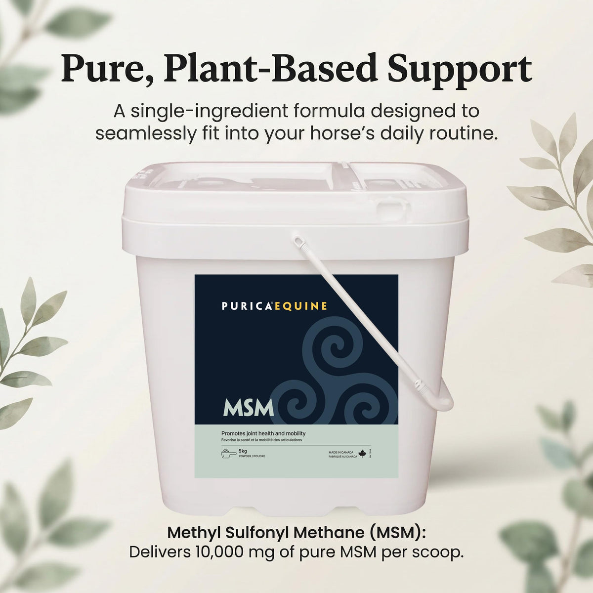 PURICA Horse MSM Supplement, MSM-Only, Vegan & Non-GMO, 5kg, 500-Day Supply