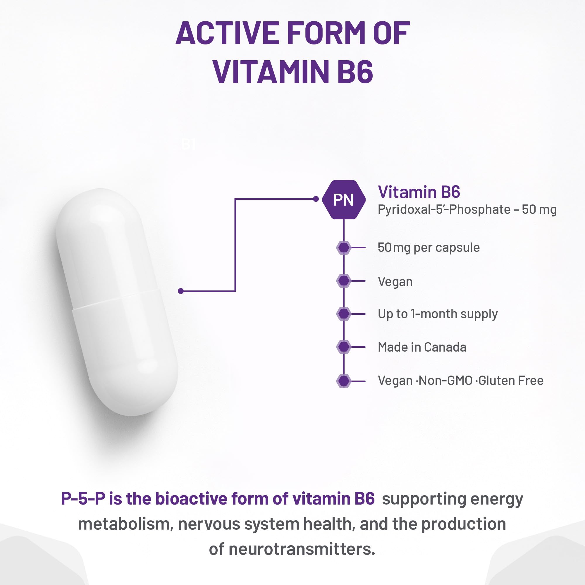 AOR P5P Complément de Vitamine B6 50 mg