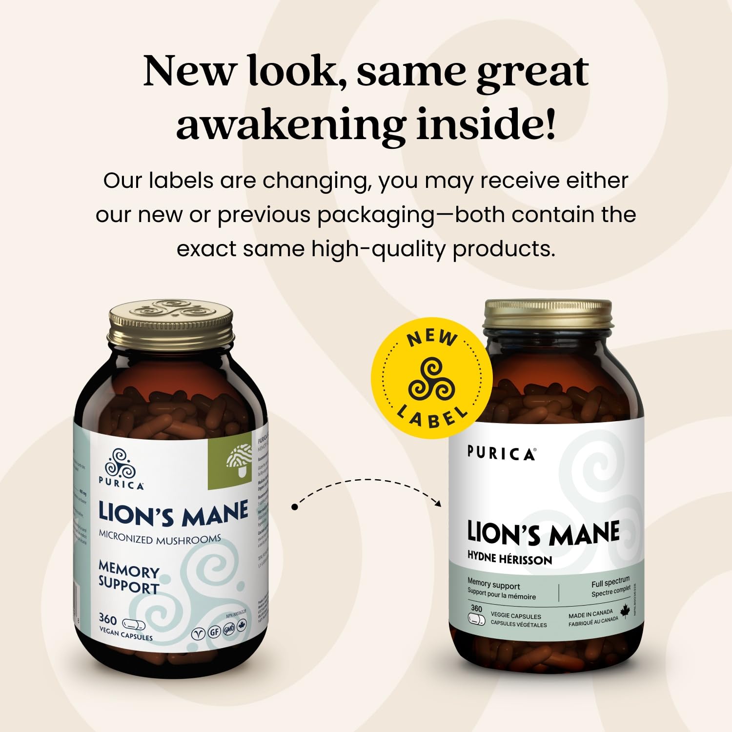 PURICA Crinière de Lion Biologique - Complément pour la Santé Cérébrale, Mémoire et Concentration, Gélules 100% Naturelles, Véganes