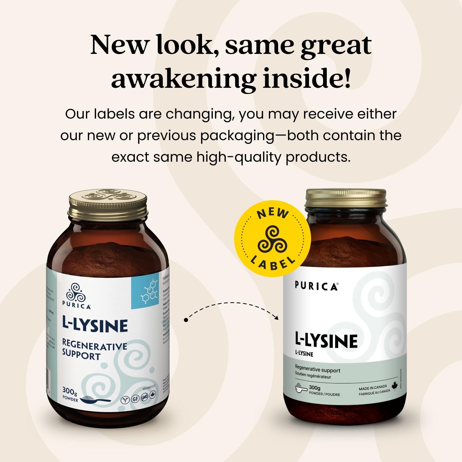 PURICA L-Lysine en poudre