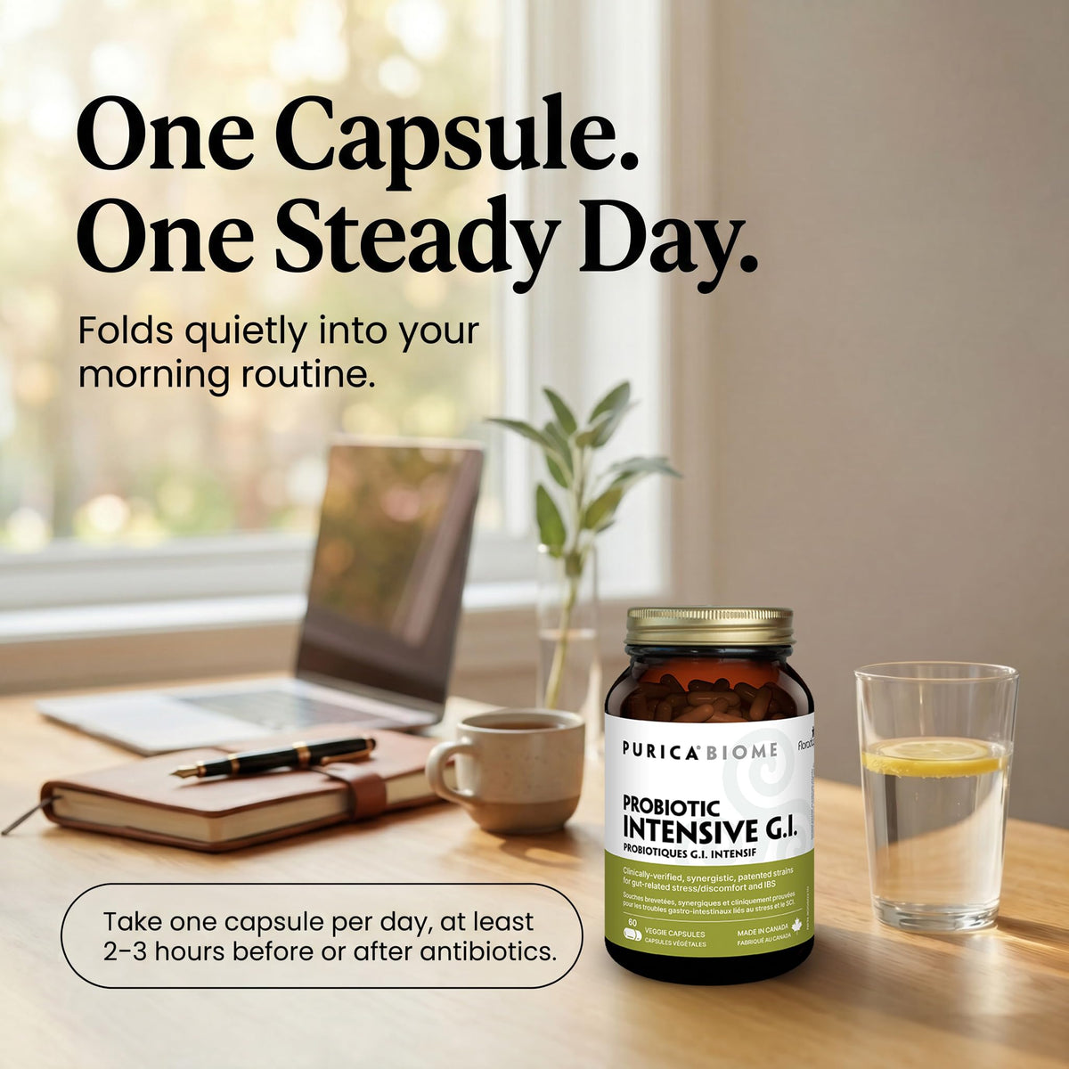 PURICA Floradapt GI Daily Probiotic Capsules, 3 Billion CFU, 60 Day Supply