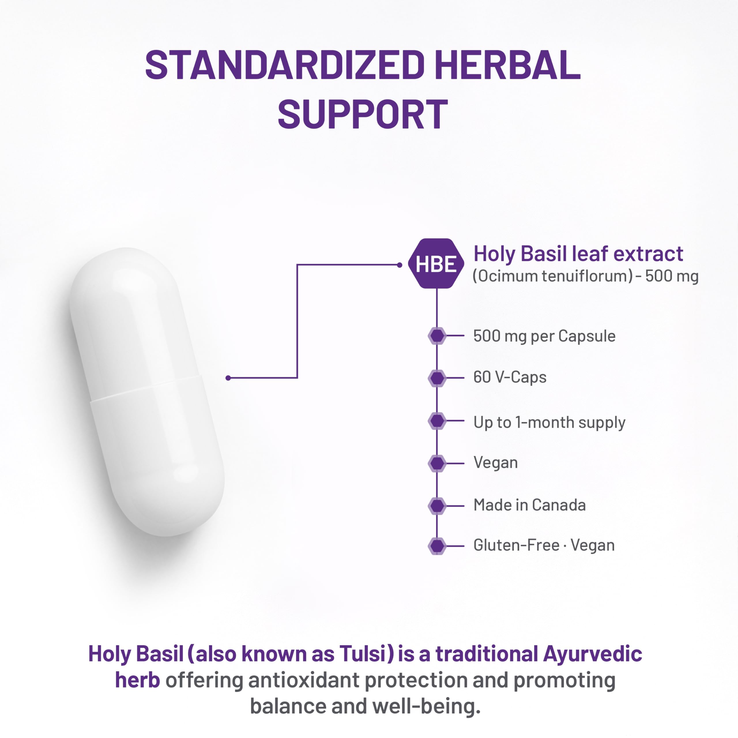 AOR Basilic Sacré (Tulsi) 500mg, 60 gélules – Cure de 30 jours – Herbe adaptogène vénérée, Bienfaits traditionnels de l'Ayurveda – Végétalien et sans gluten – Favorise le niveau d'énergie, Formule à base de plantes pour la vitalité quotidienne