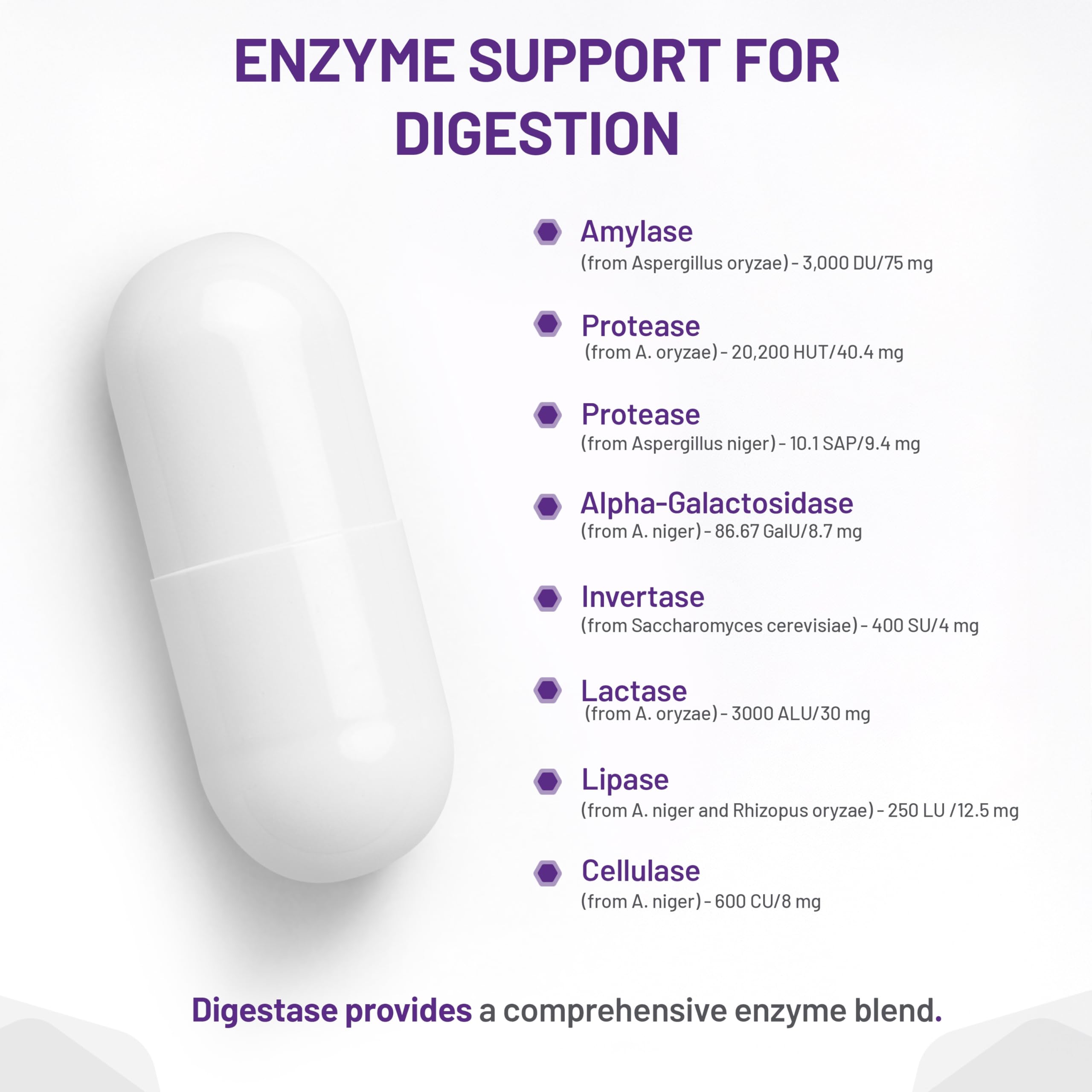 AOR Digestase, 90 Capsules 30-Day Supply - Digestive Enzyme Supplement - Supports Digestion, Eases Gas & Bloating - Gluten-Free, Non-GMO, Vegan - Lactose Support Enzymes - Promotes Digestive Comfort