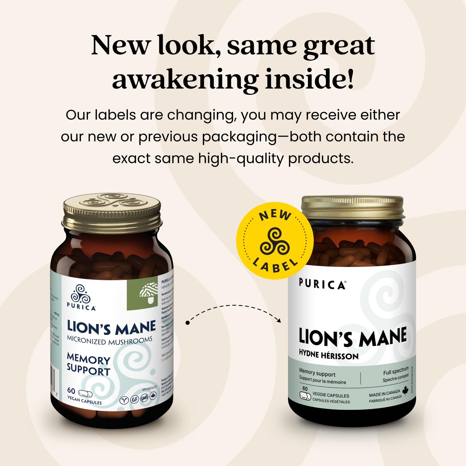 PURICA Crinière de Lion Biologique - Complément pour la Santé Cérébrale, Mémoire et Concentration, Gélules 100% Naturelles, Véganes